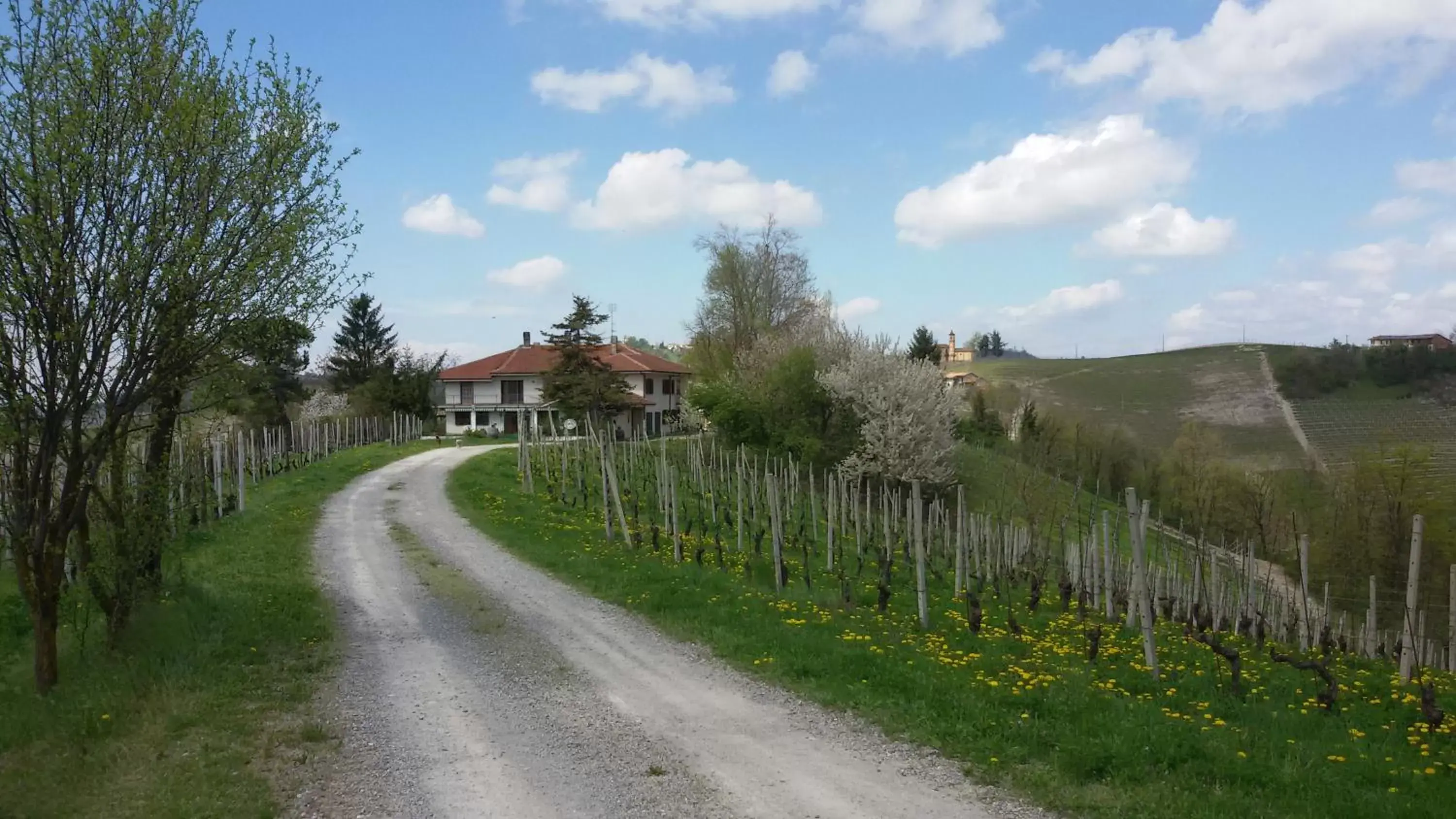 Street view in Cascina Torello