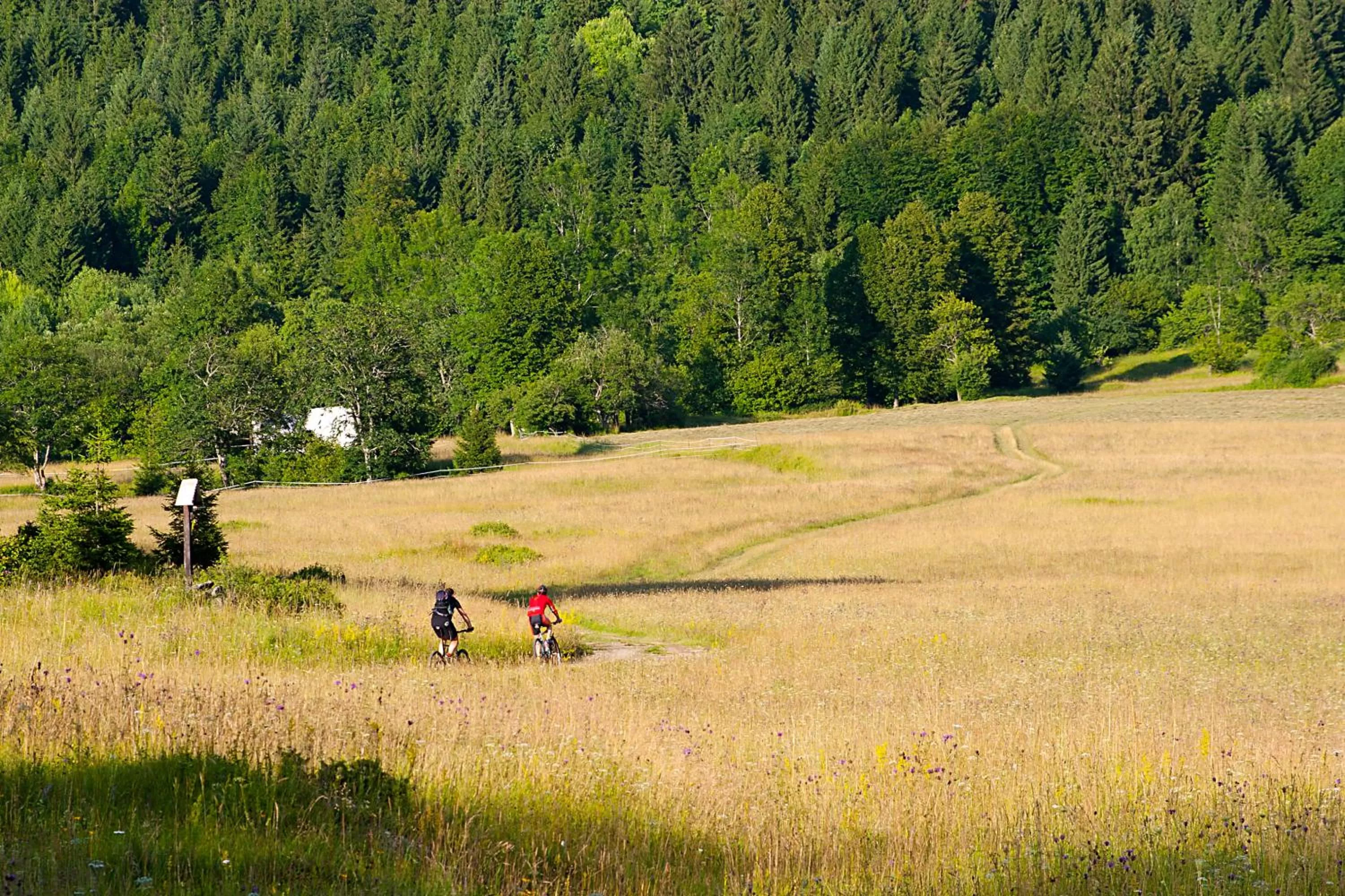 Natural landscape in Hotel Bela Krajina