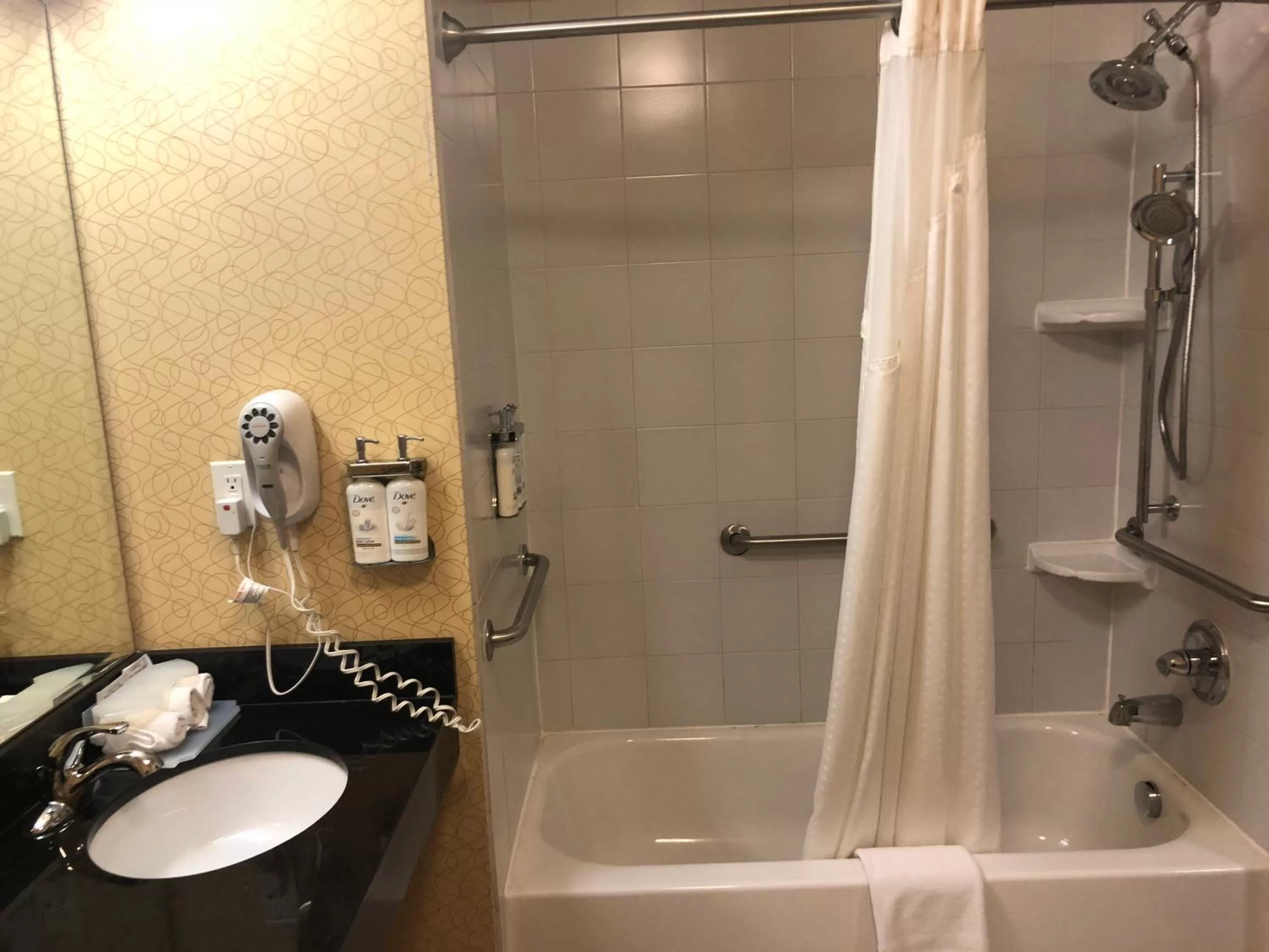 Shower in Holiday Inn Express Hotel & Suites Lansing-Dimondale by IHG