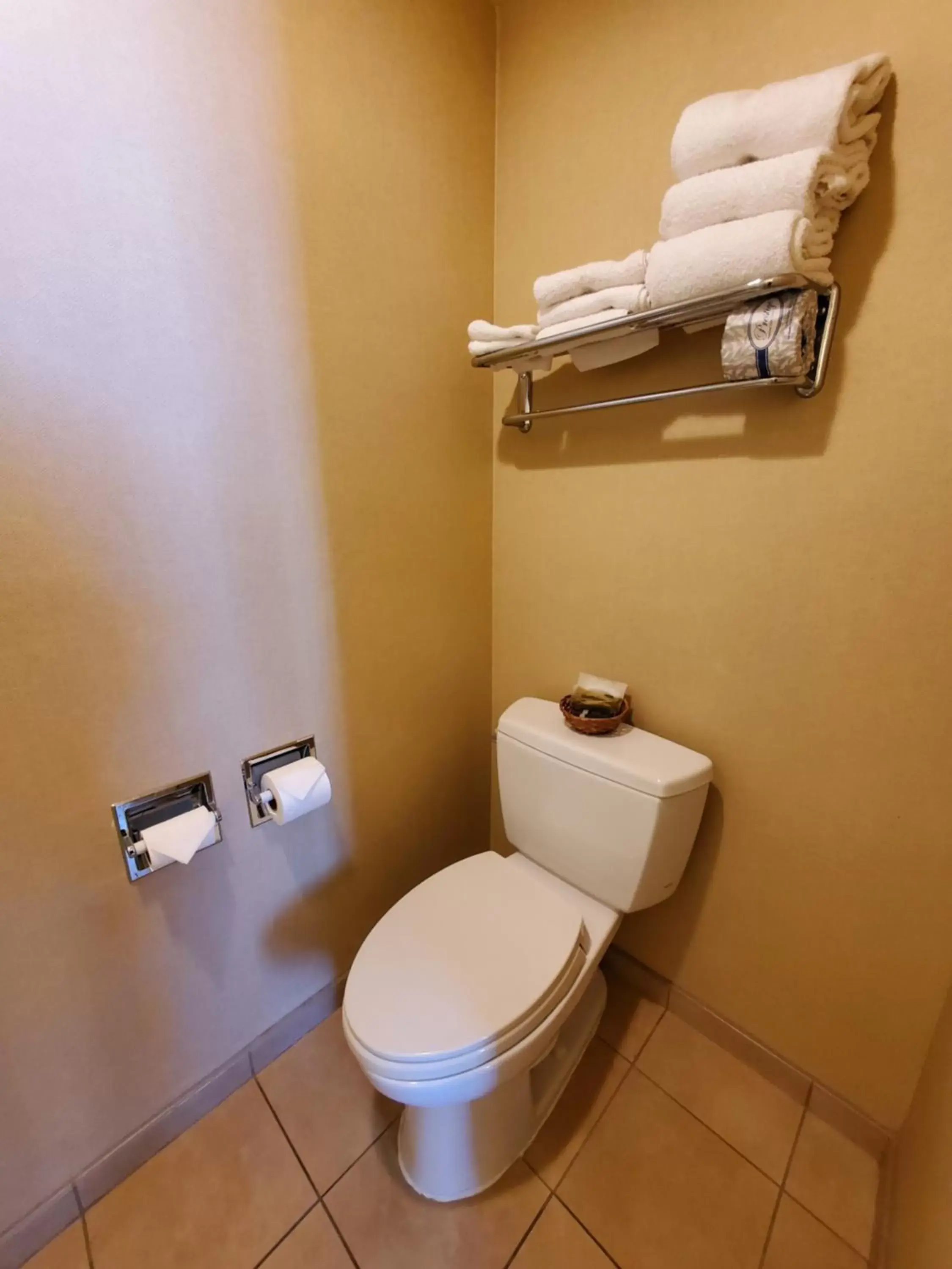 Toilet, Bathroom in Royal Pacific Motor Inn