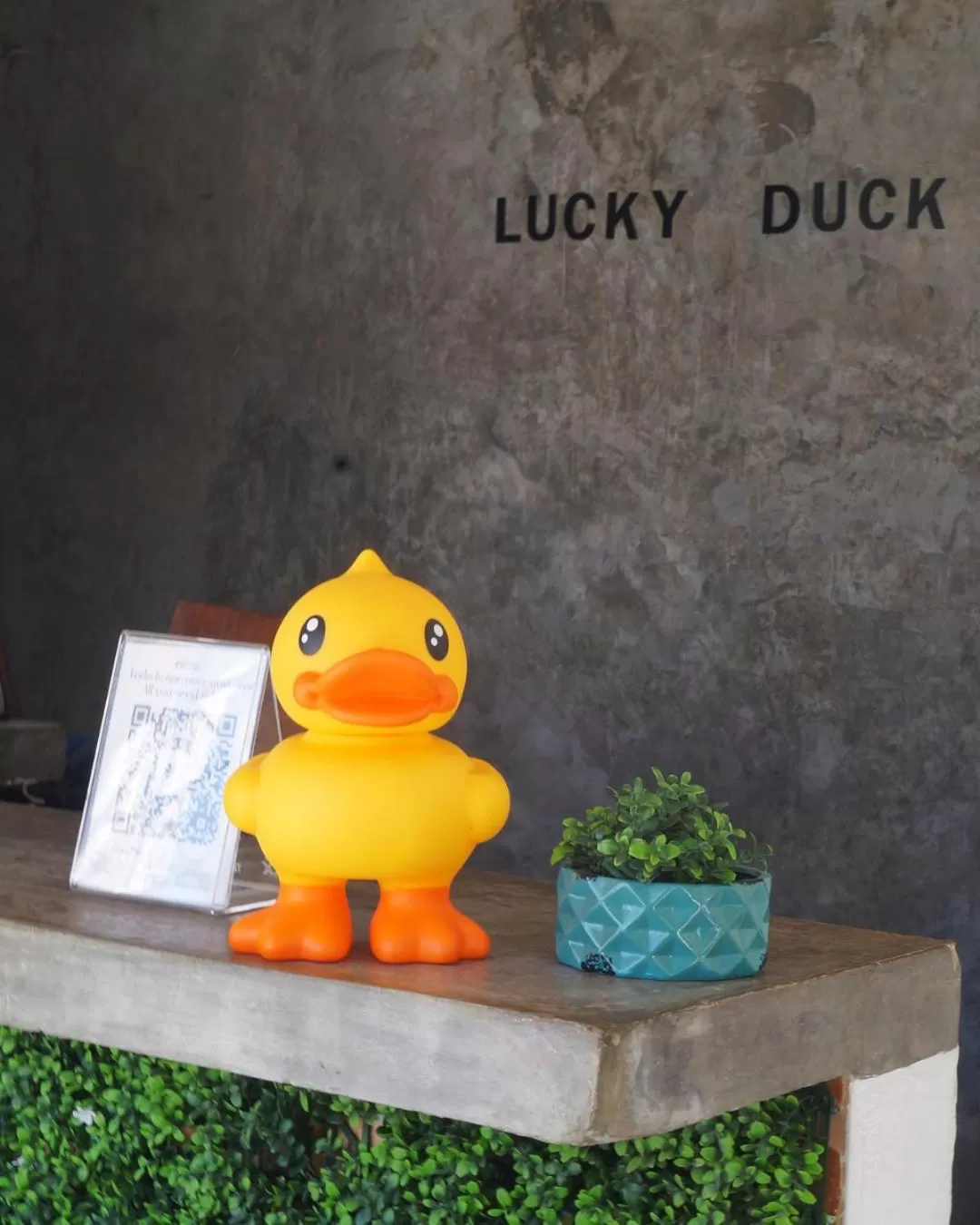 Lobby or reception in Lucky Duck PJ