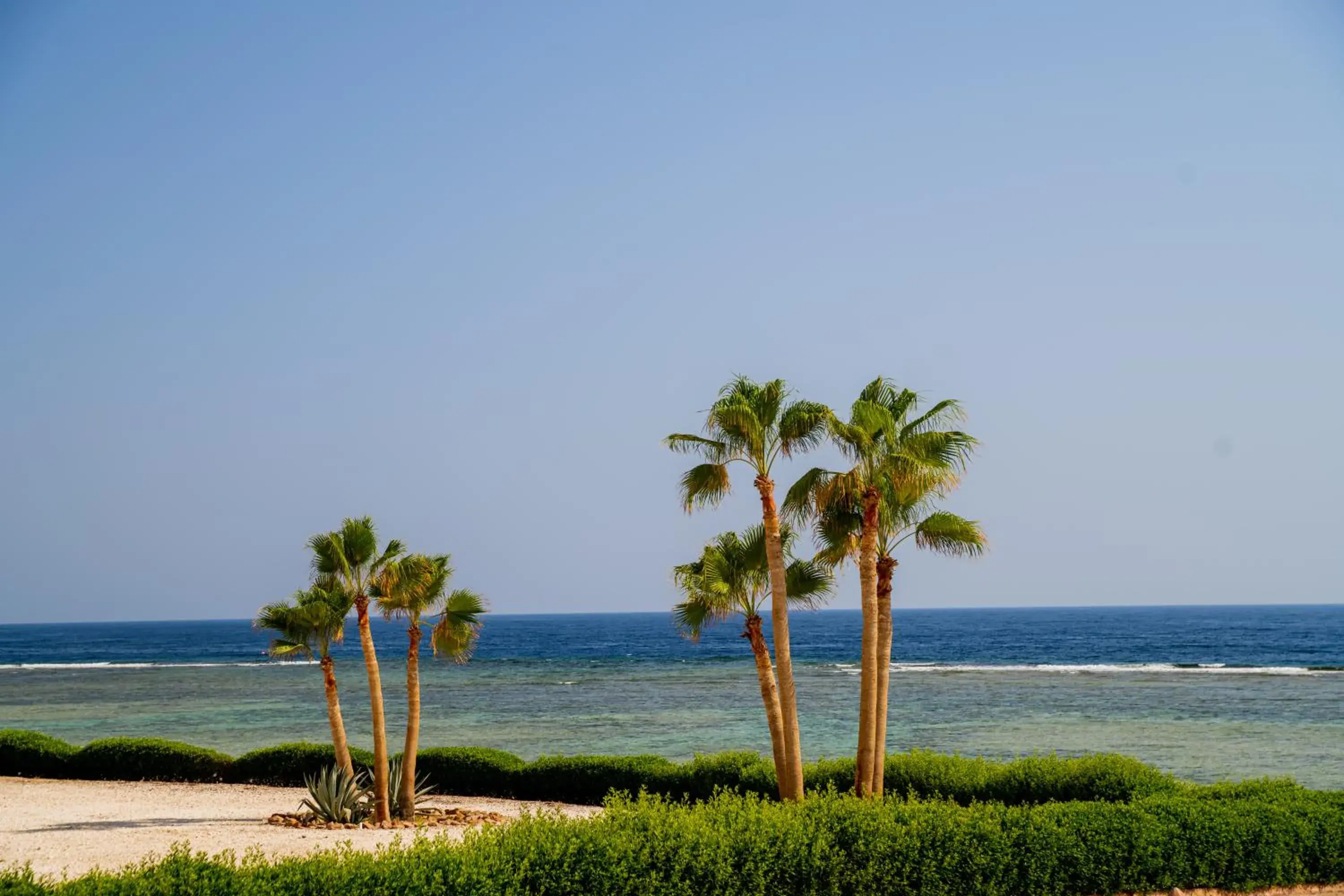 View (from property/room), Beach in Movenpick Resort El Quseir