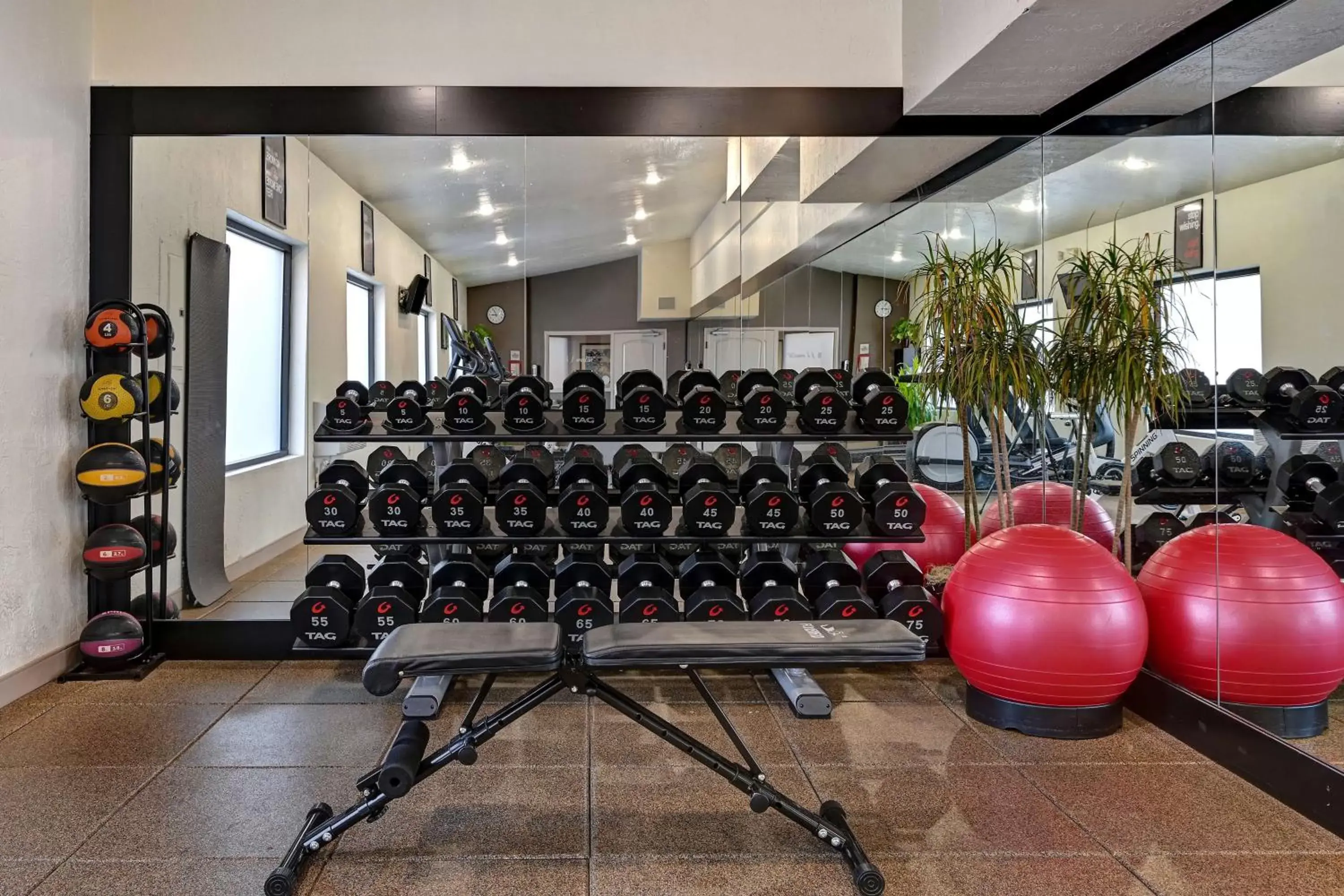 Fitness centre/facilities, Fitness Center/Facilities in Embassy Suites by Hilton Colorado Springs