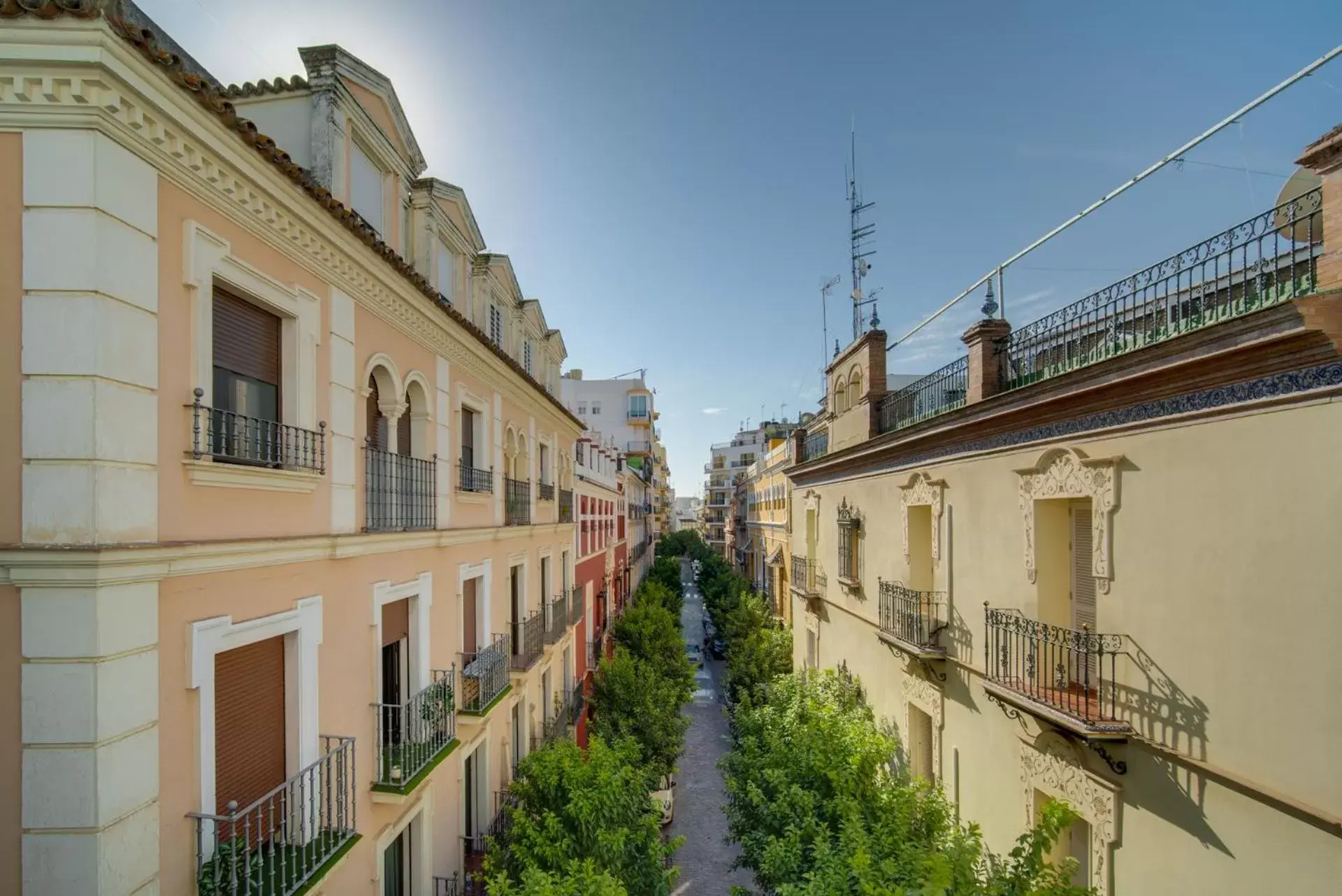 Spring in Hotel Madrid de Sevilla