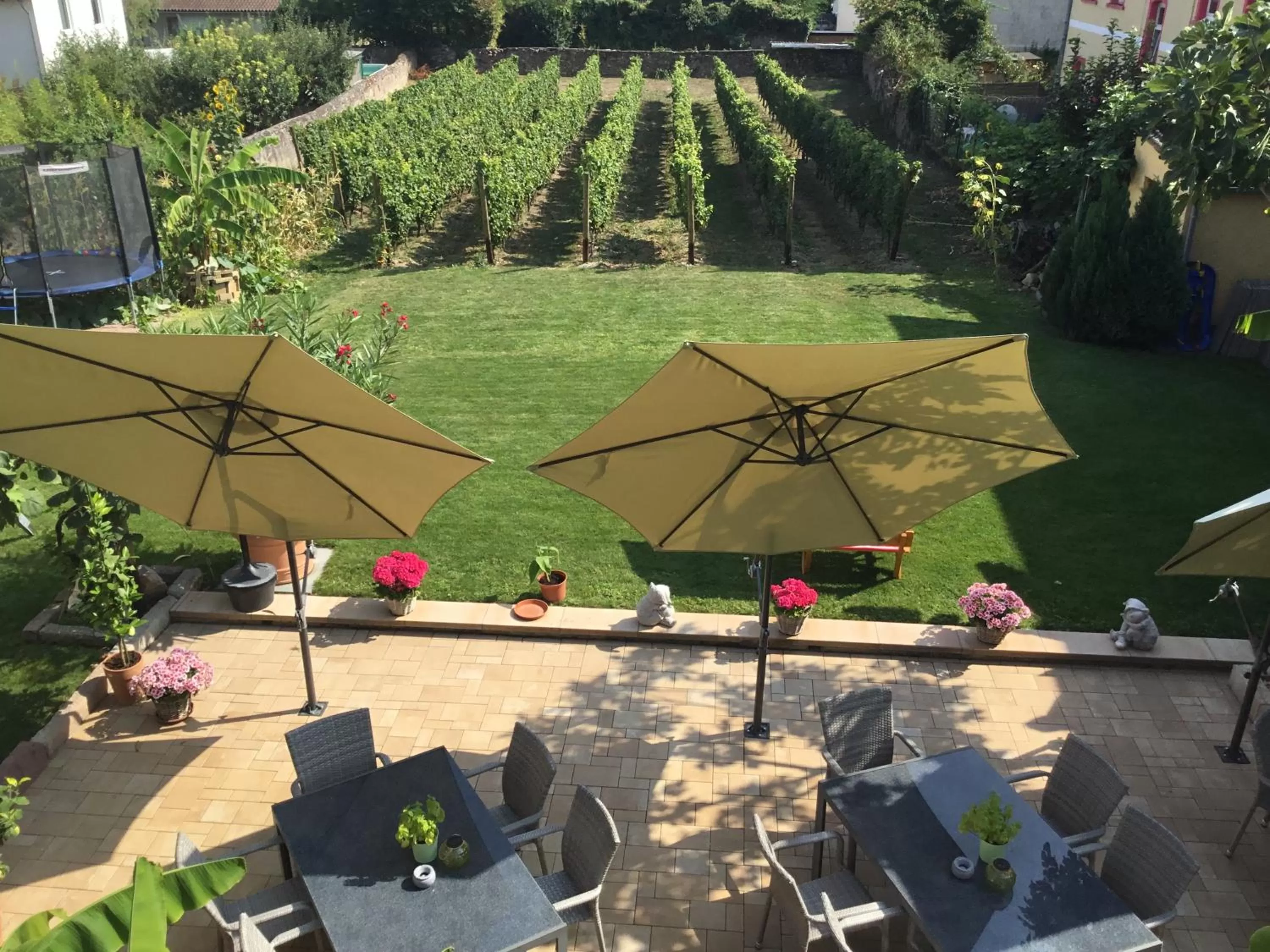 Bed and Breakfast - Rheingauer Hof