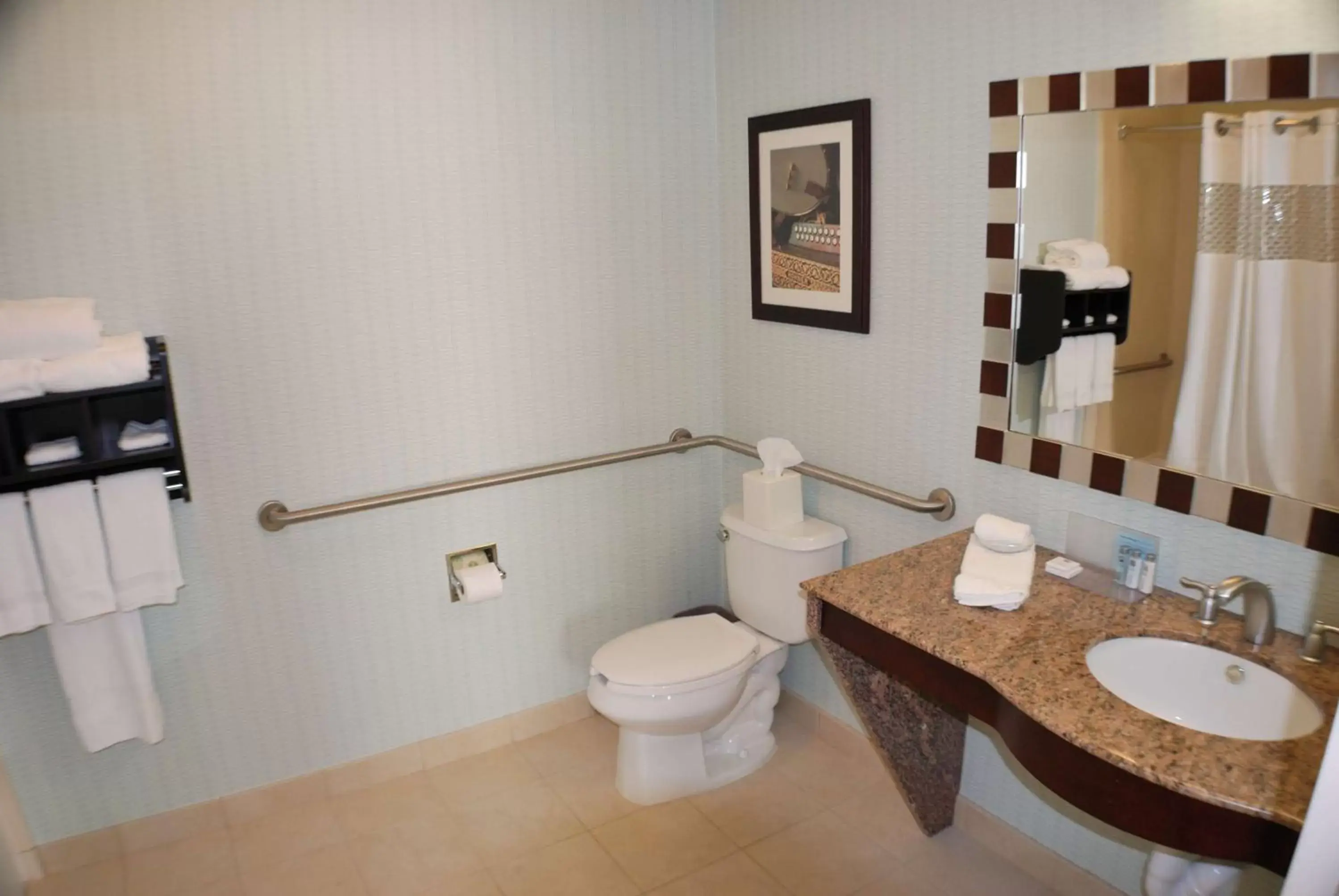 Bathroom in Hampton Inn & Suites Nashville at Opryland