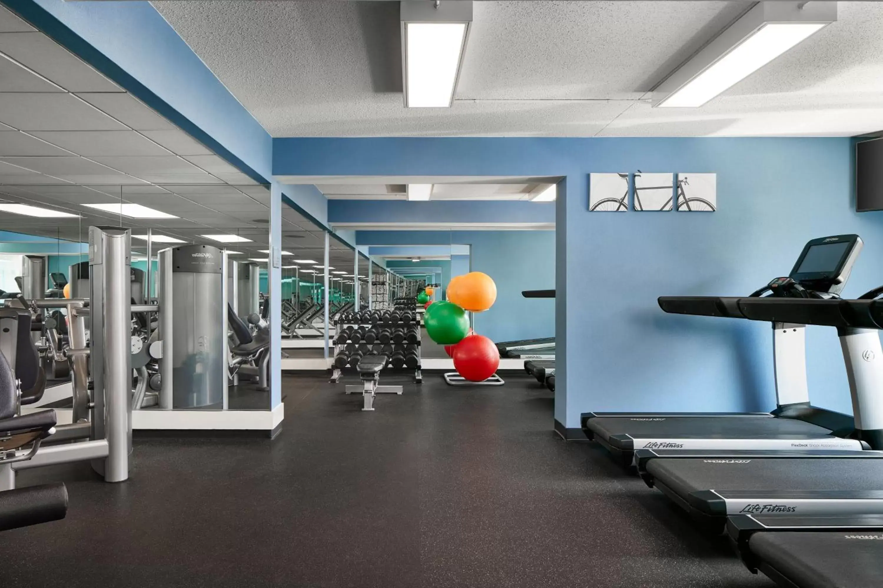 Fitness centre/facilities, Fitness Center/Facilities in Washington Dulles Airport Marriott