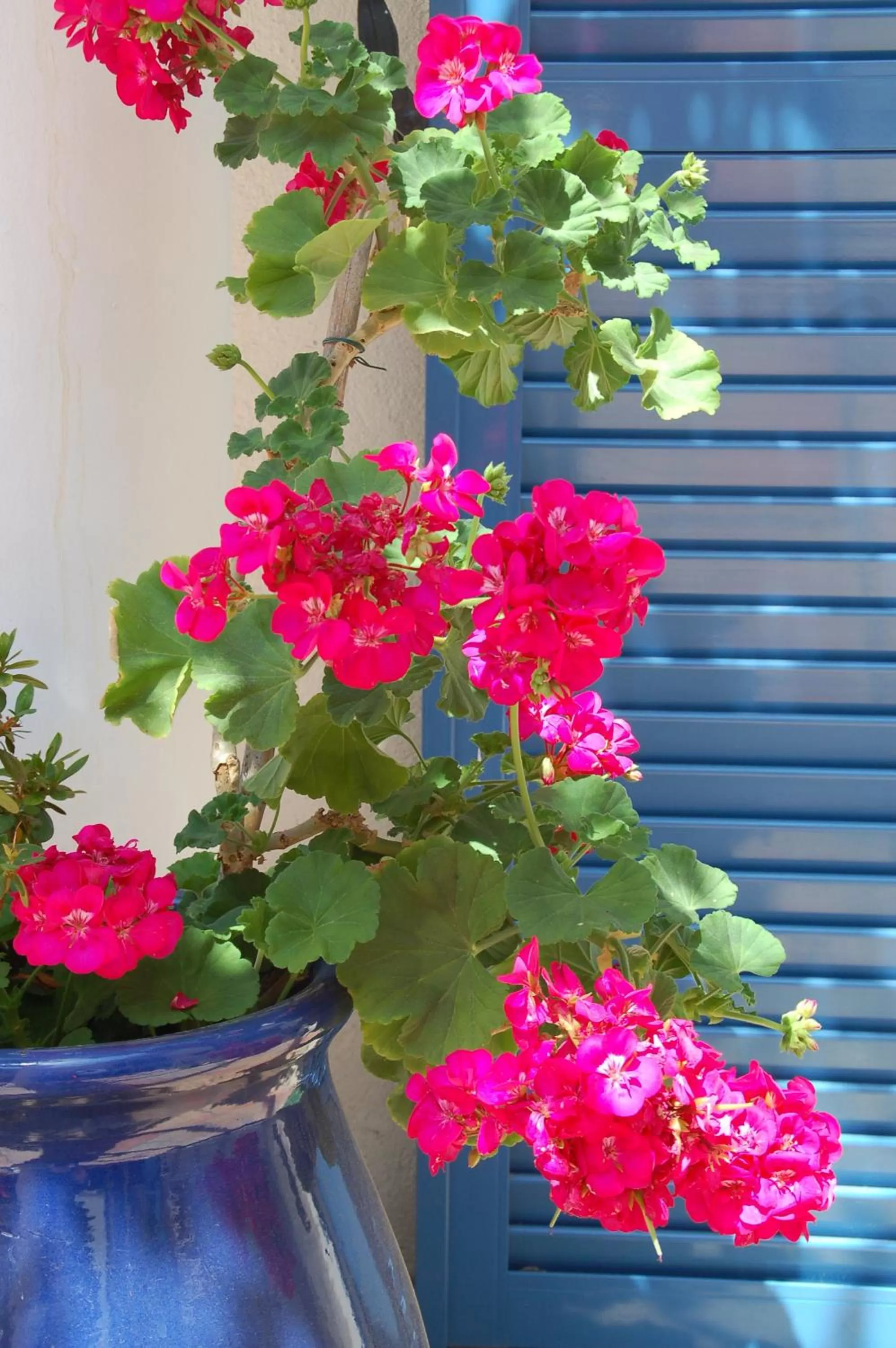 Day in Hôtel de la Fontaine