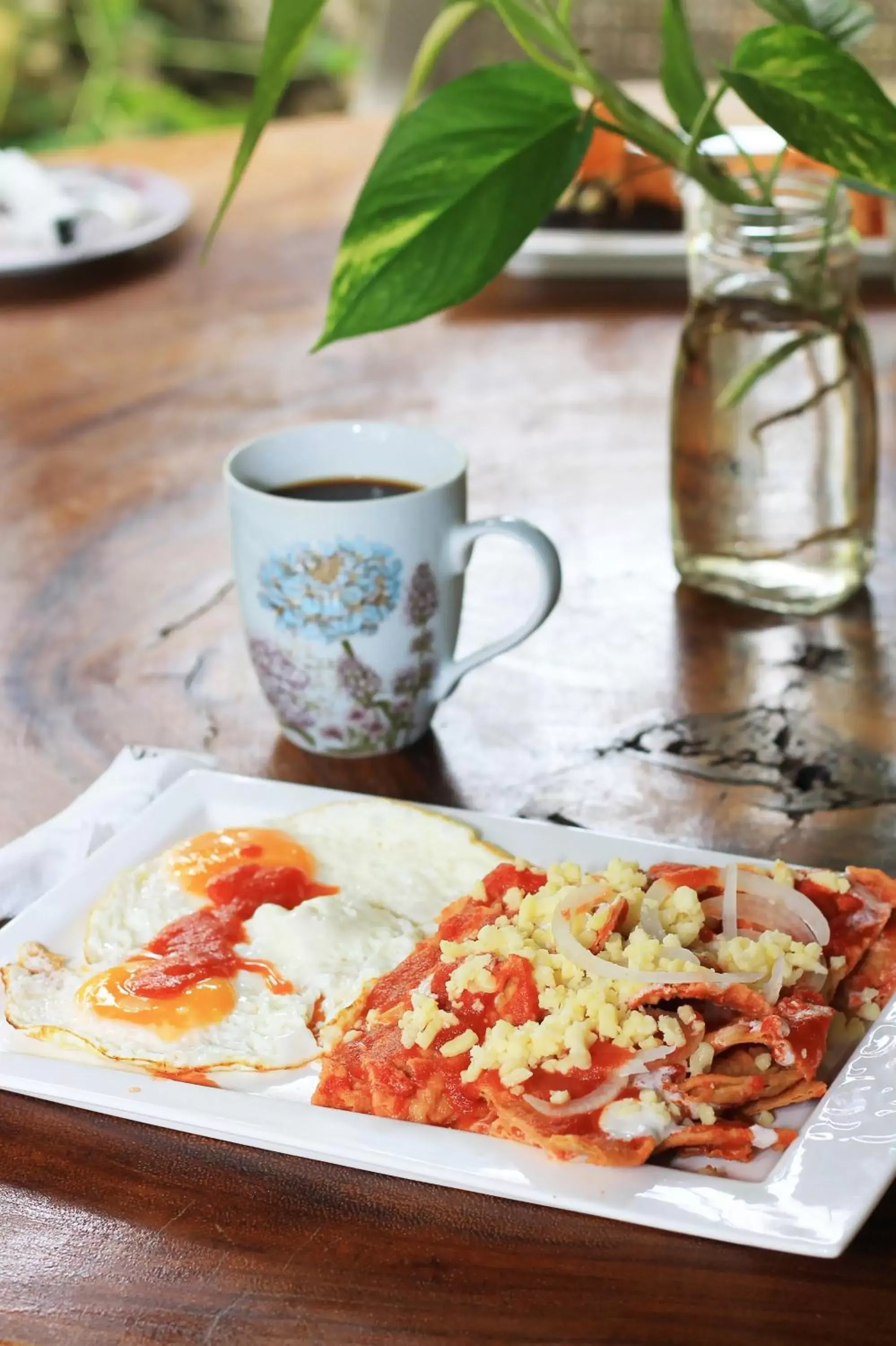 Breakfast in Hotel Pancho Villas Bacalar Vista a Laguna