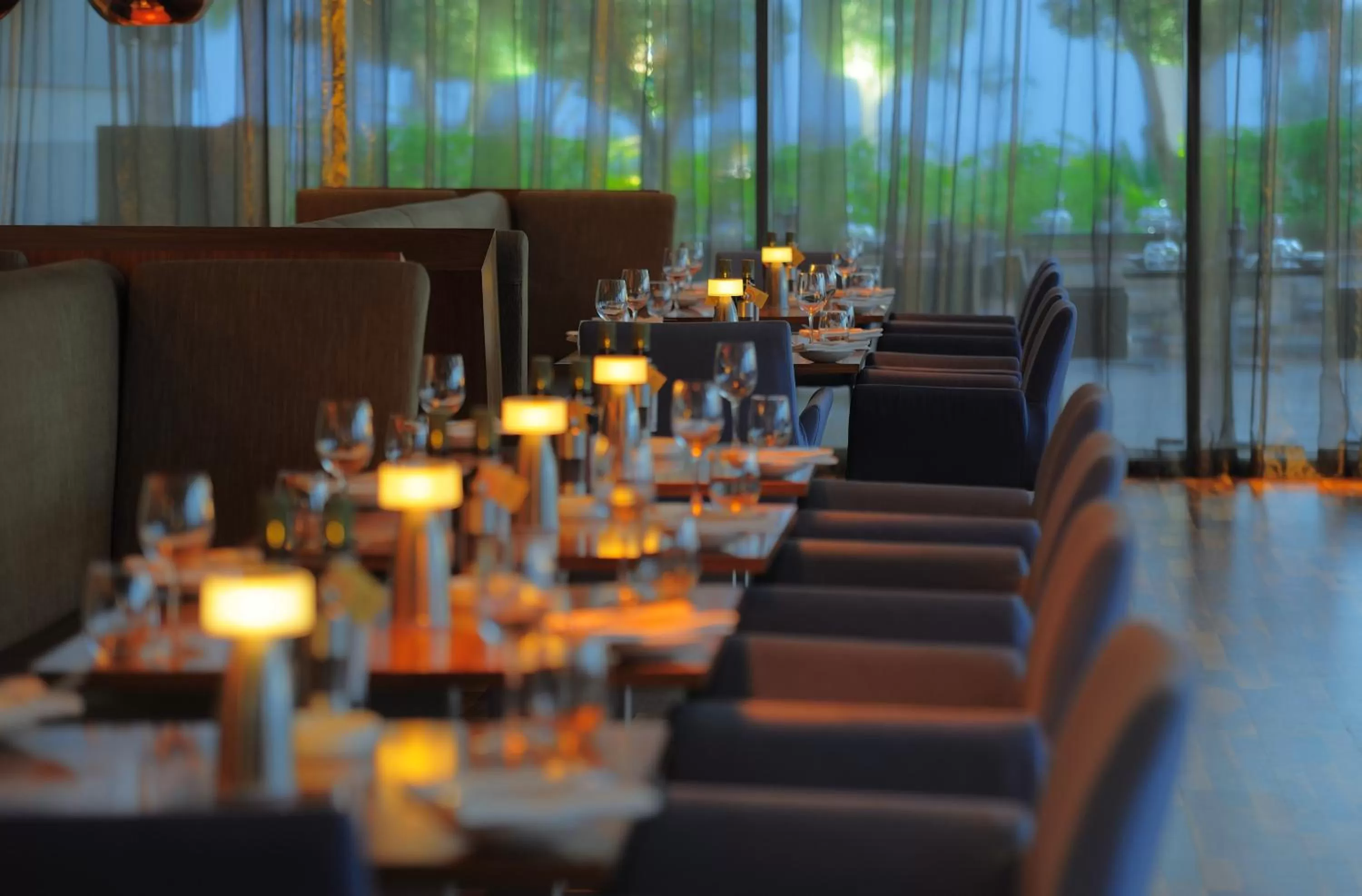 Restaurant/places to eat in Radisson Blu Hotel, Abu Dhabi Yas Island