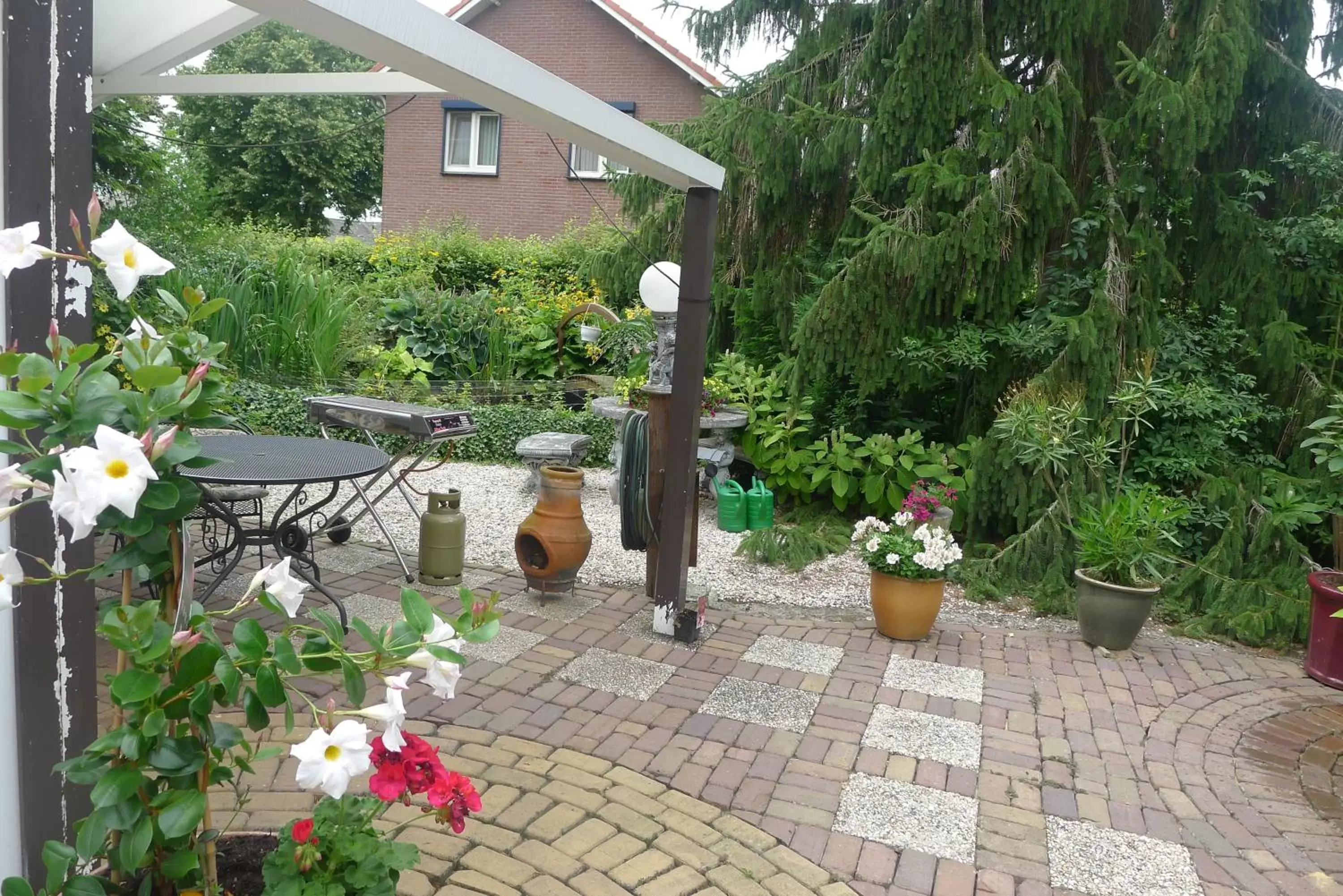 Garden in B&B De Kleine Wijngaard