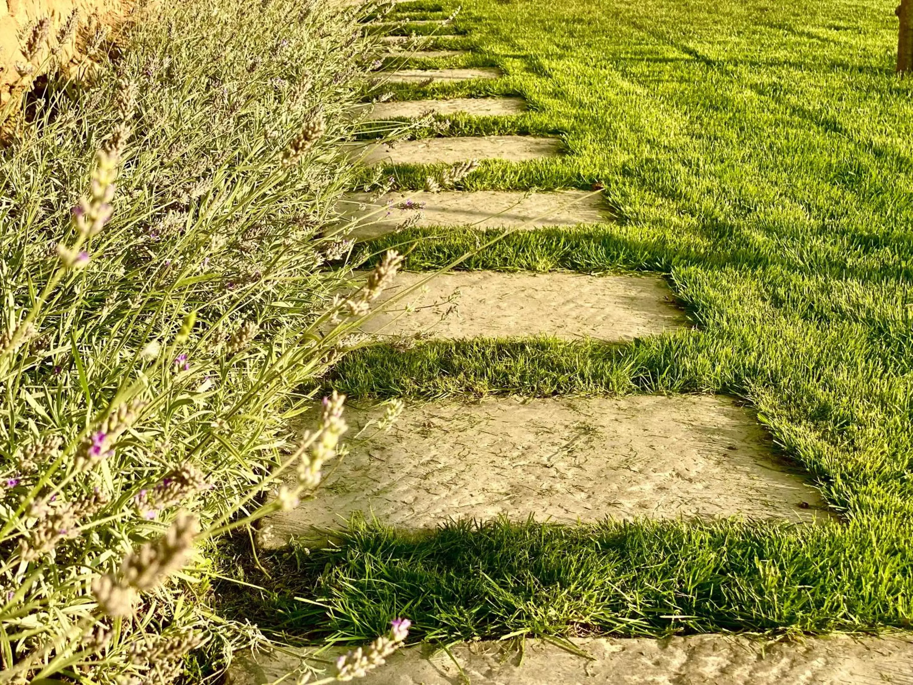 Garden, Natural Landscape in San Michele al Castello