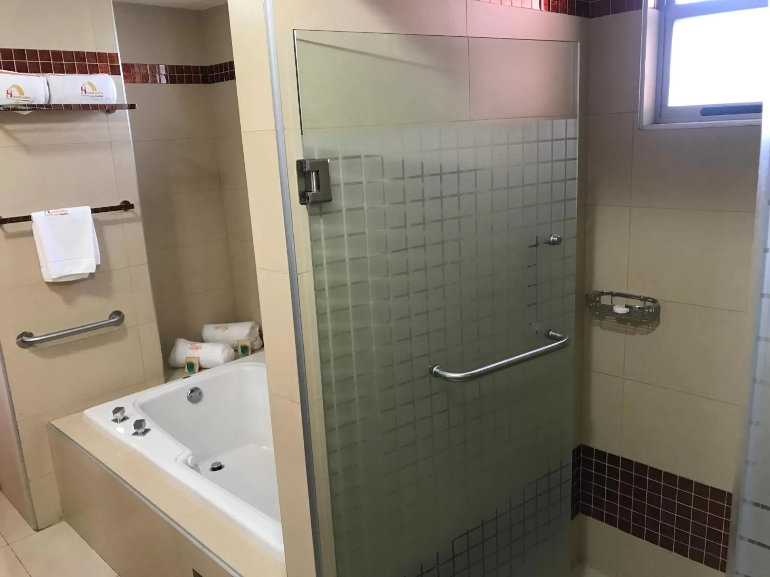Shower, Bathroom in Hostalia Hotel Expo & Business Class