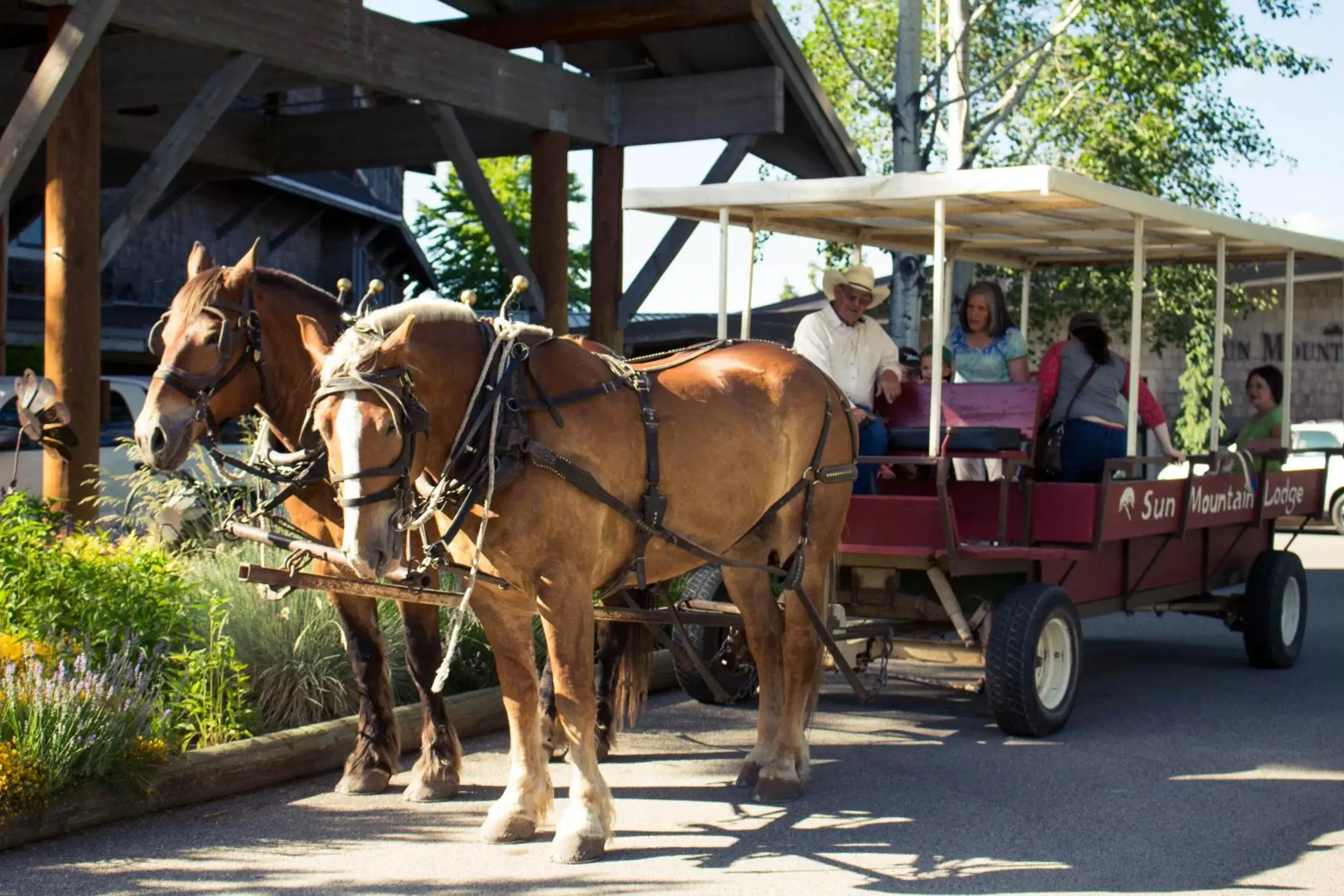 Activities, Pets in Sun Mountain Lodge