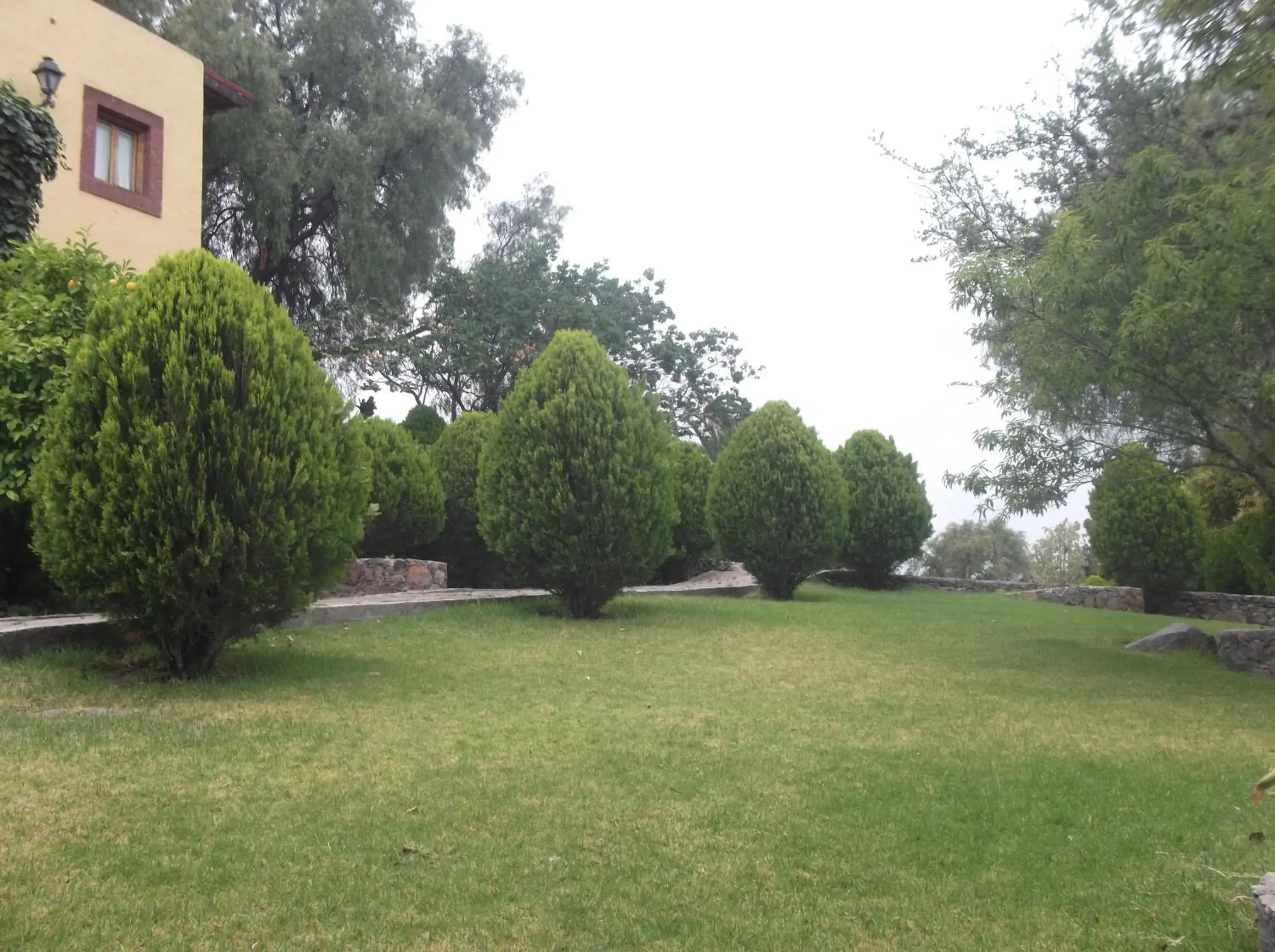 Day, Garden in Mirador del Frayle