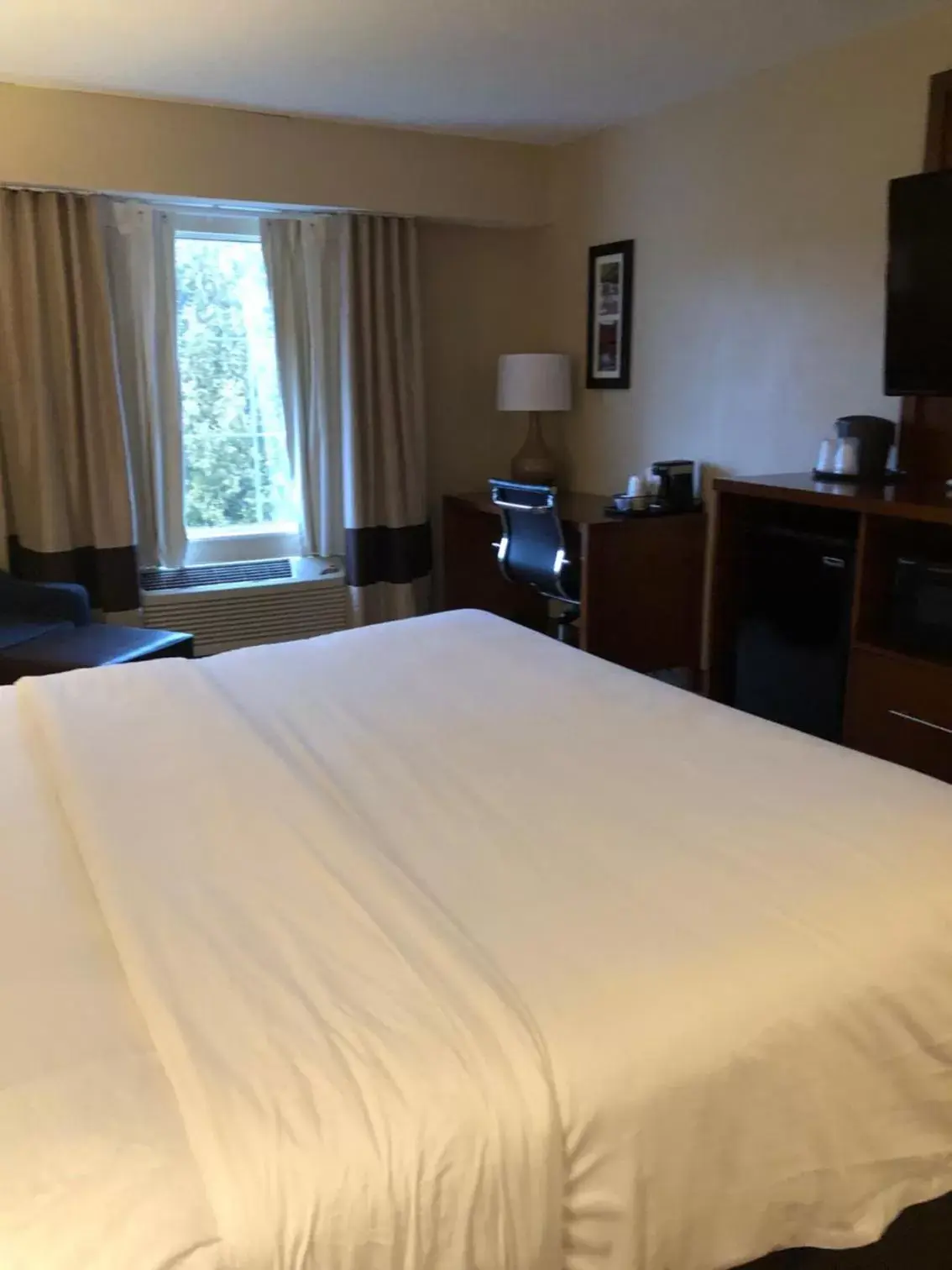 Bed in Wingate by Wyndham Grove City