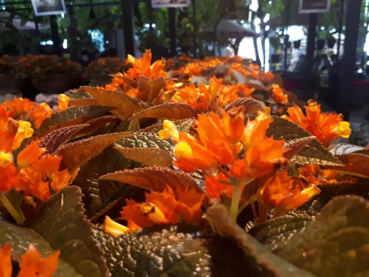 Khách Sạn Hiệp Yến