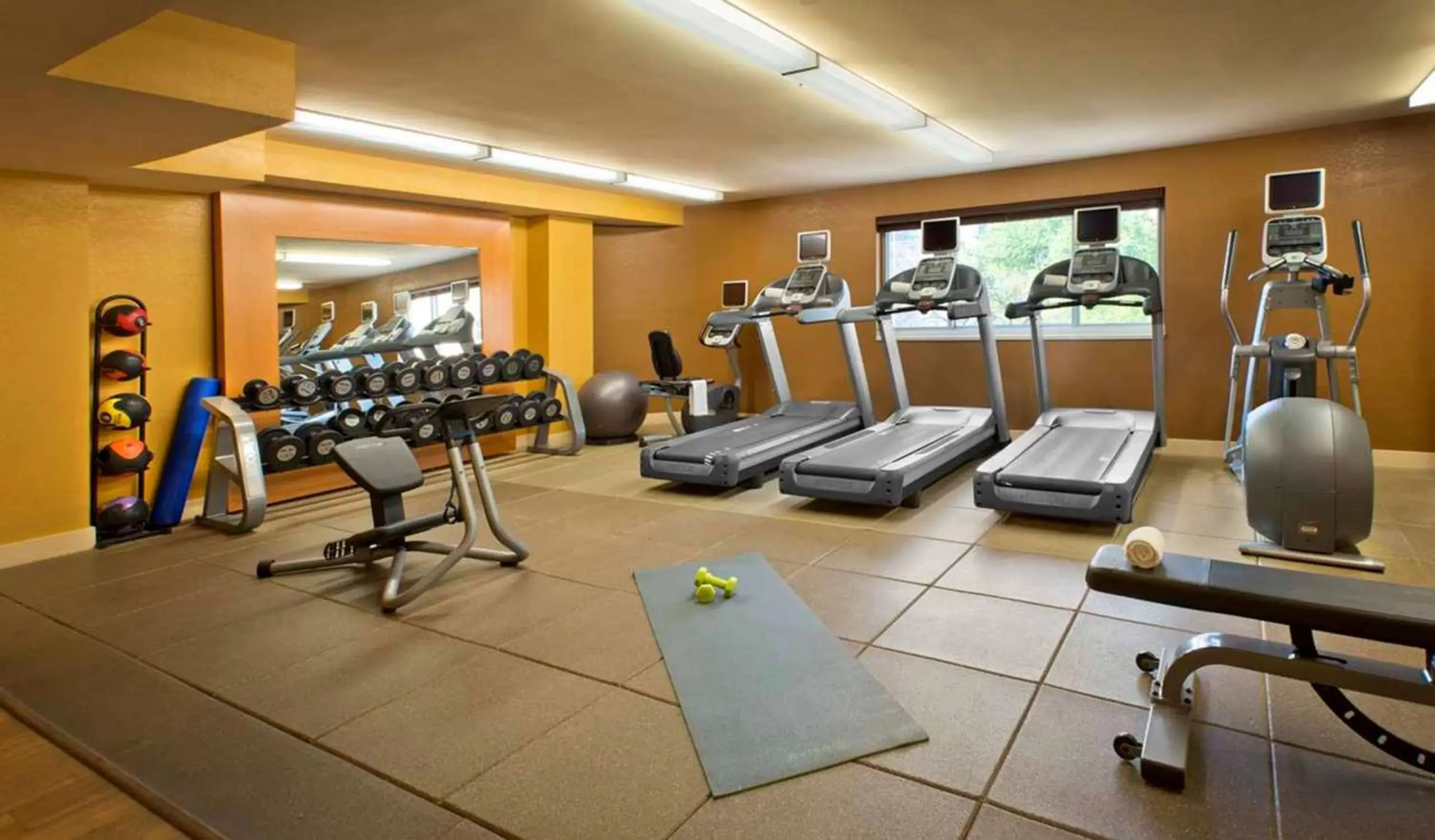 Fitness centre/facilities, Fitness Center/Facilities in DoubleTree Suites by Hilton Minneapolis Downtown
