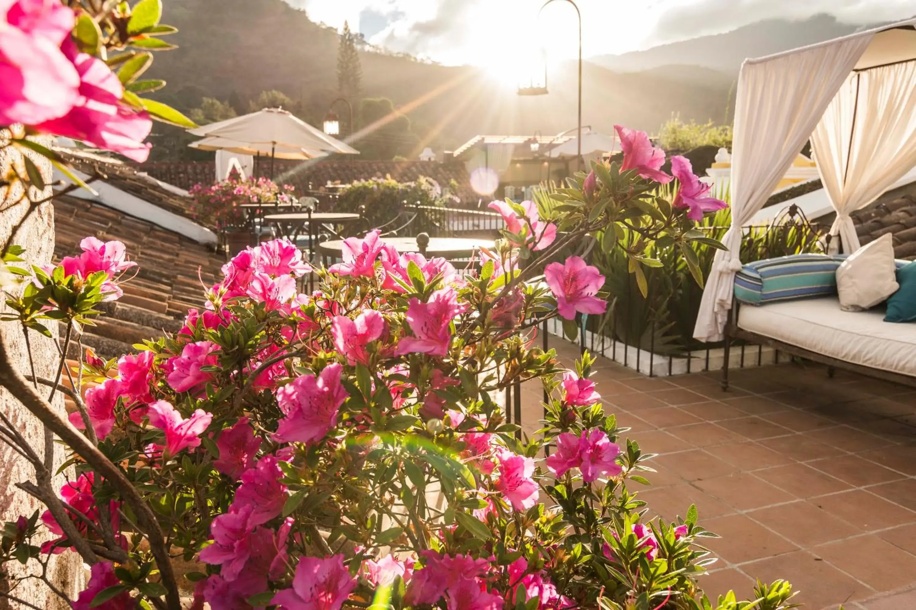 Balcony/Terrace in Hotel Boutique Los Pasos & Spa