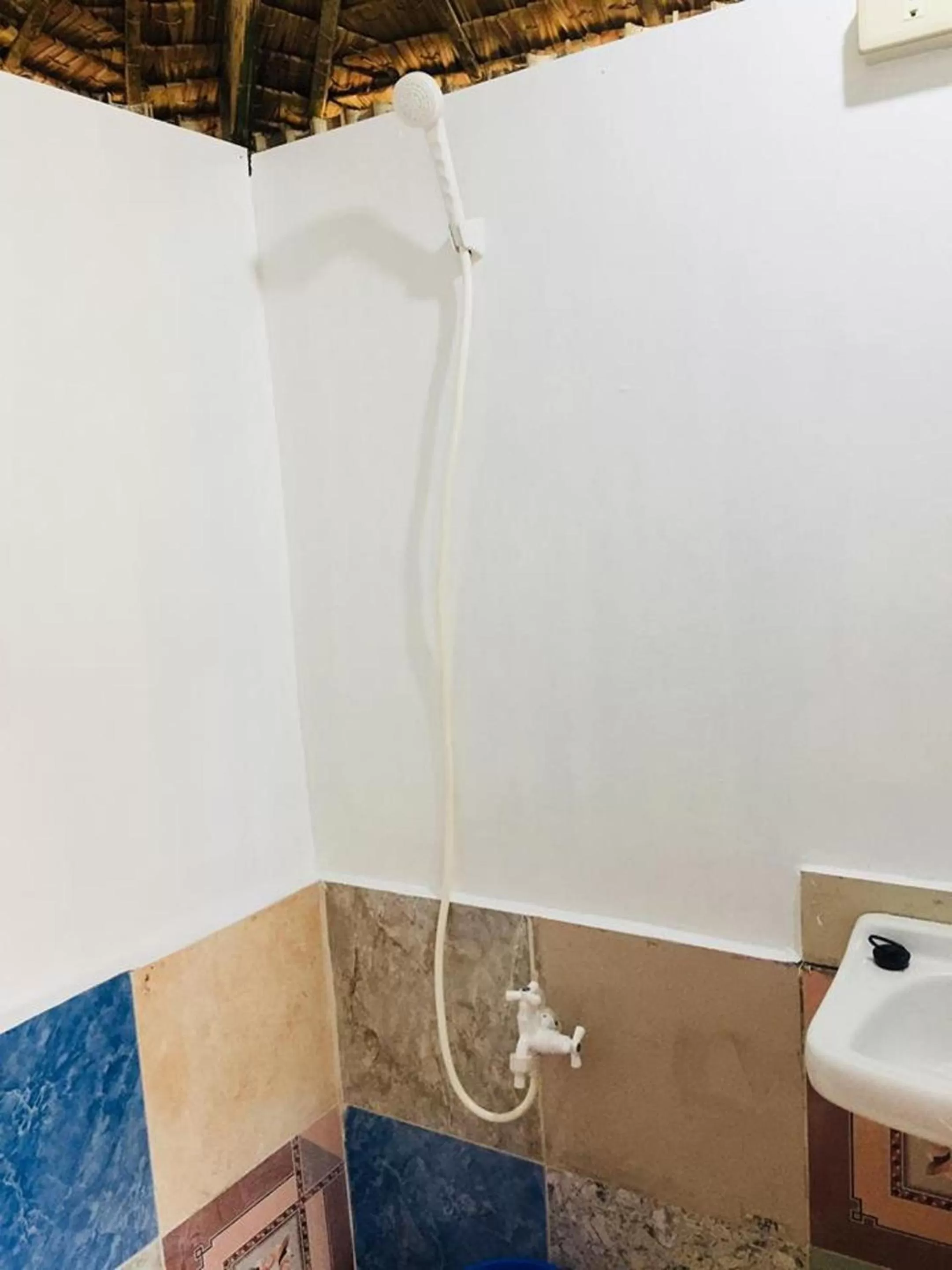 Shower in Gaea's Apartments