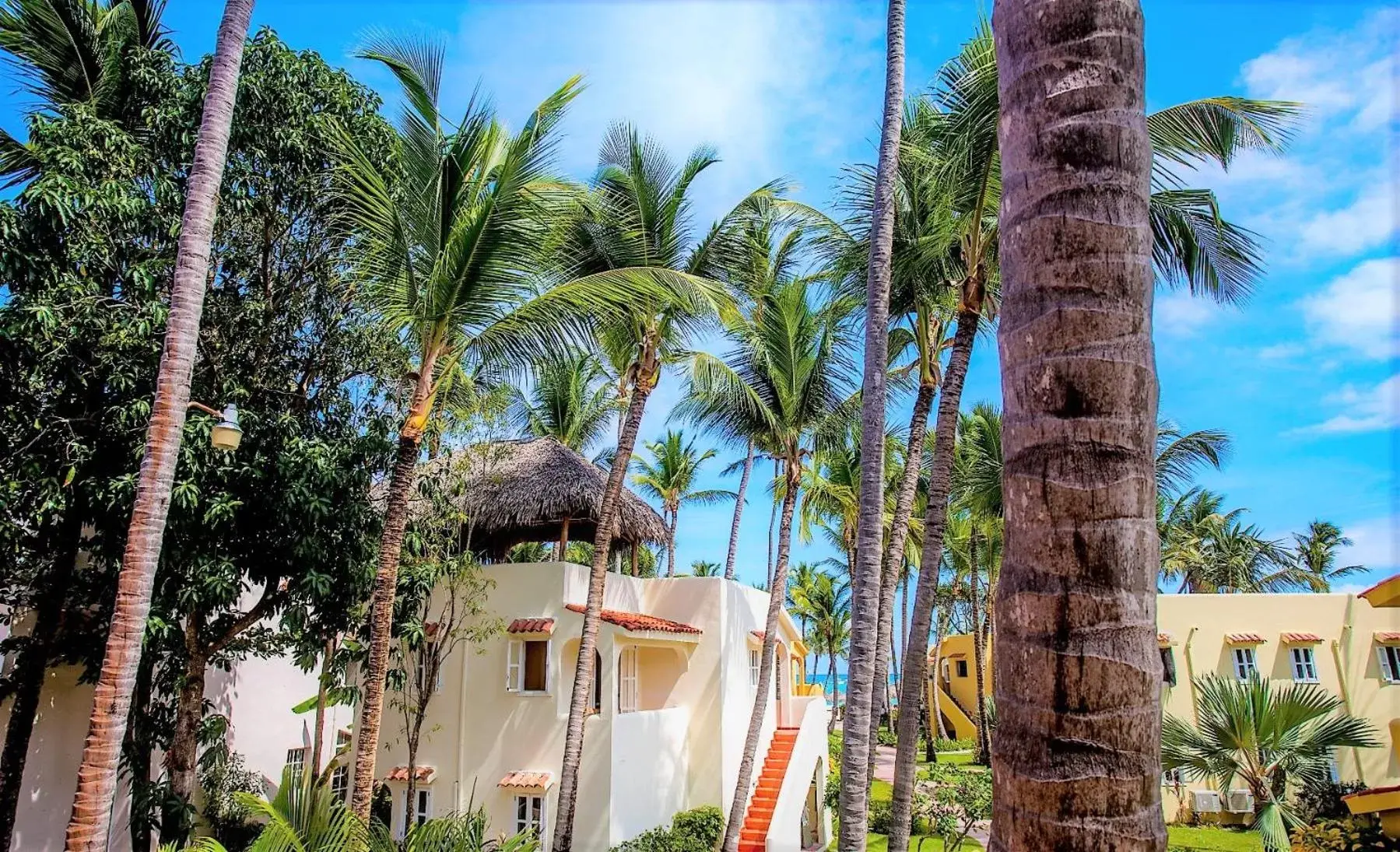 Bird's eye view in Los Corales Beach Village