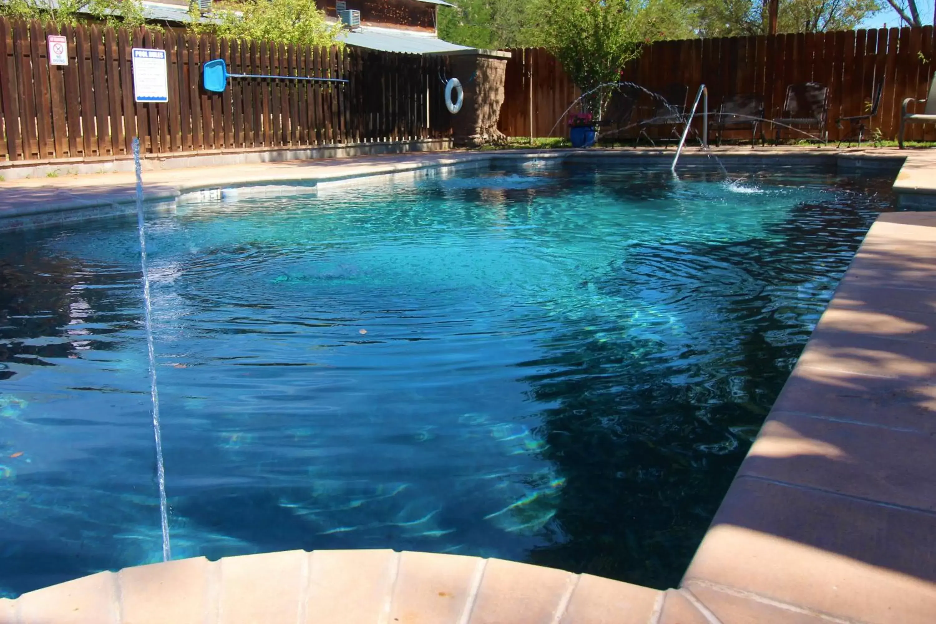 Swimming Pool in The Hotel Limpia