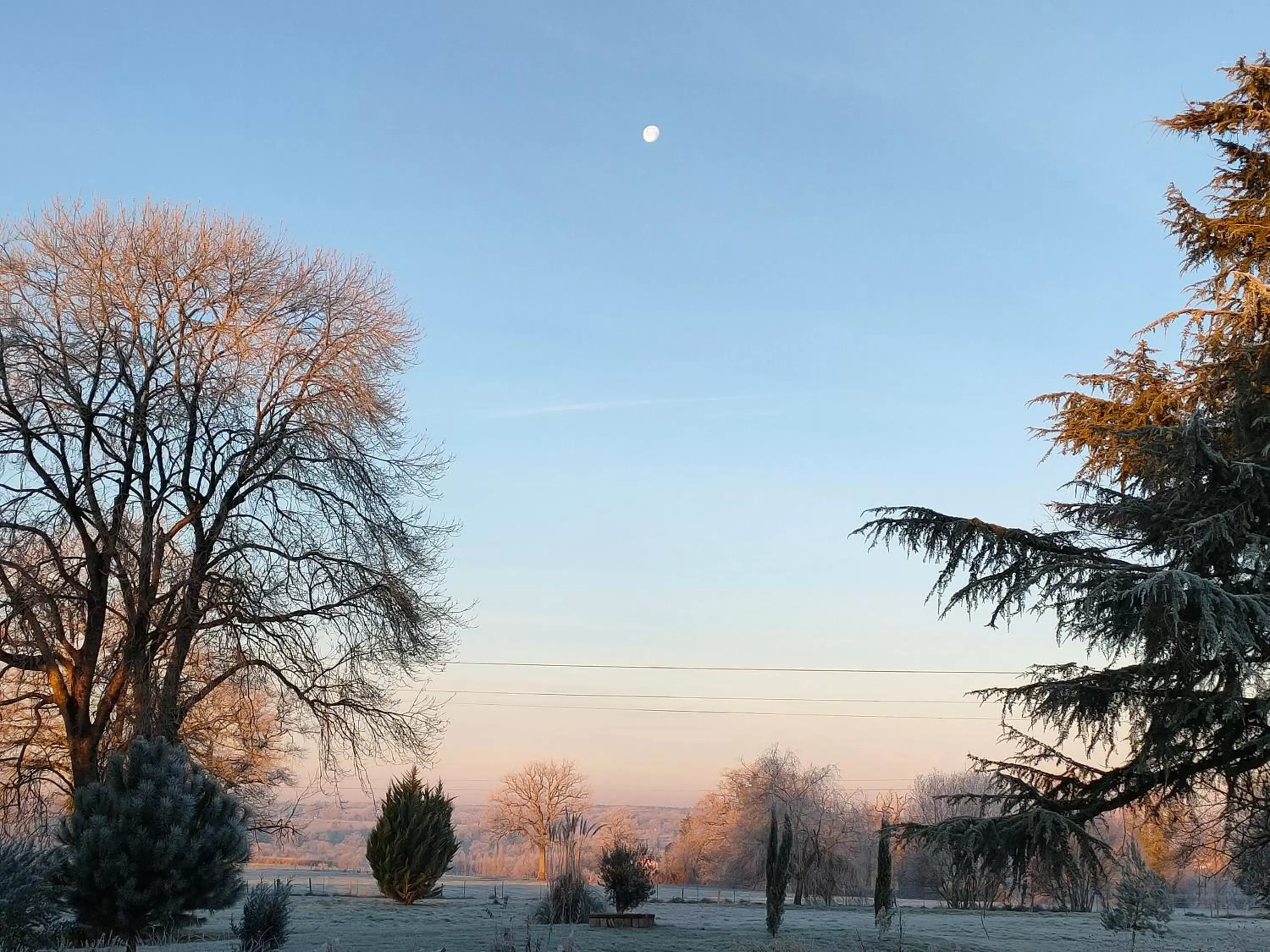 Garden view in Domaine de Panissac