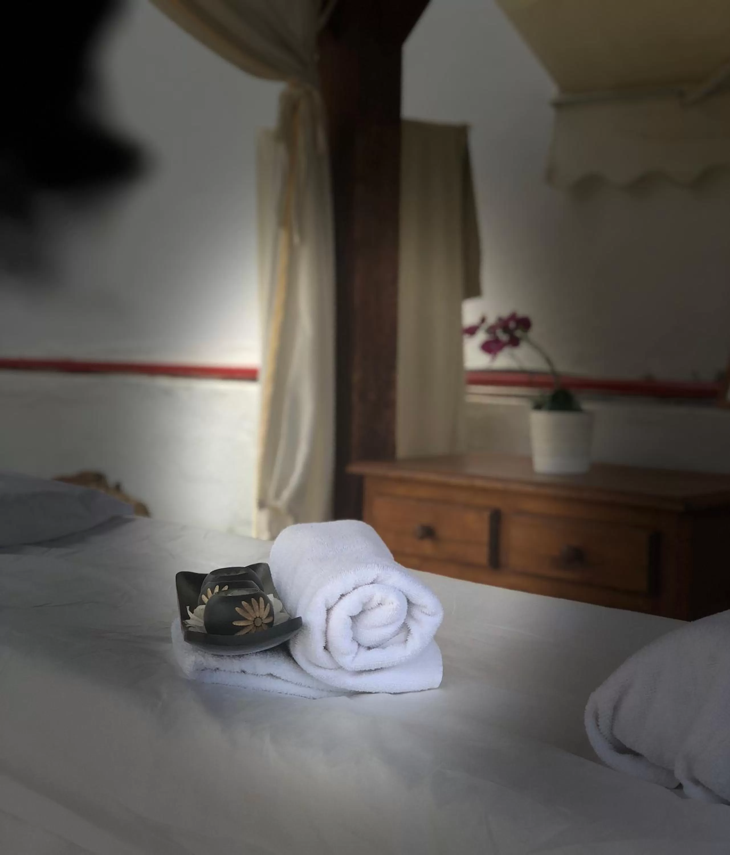 Massage, Bed in Regency Torviscas Apartments and Suites