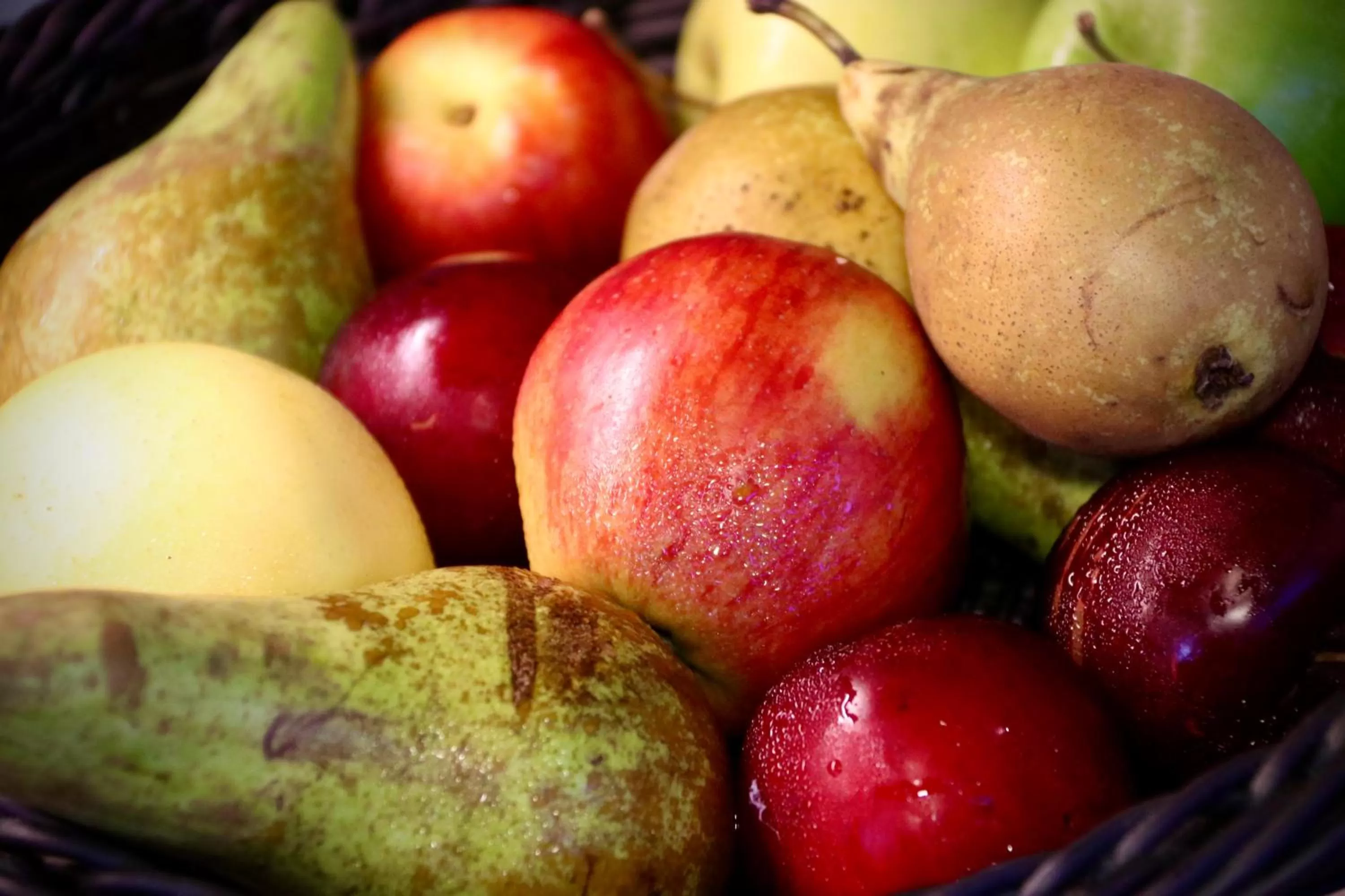 Food and drinks in Taastrup Park Hotel