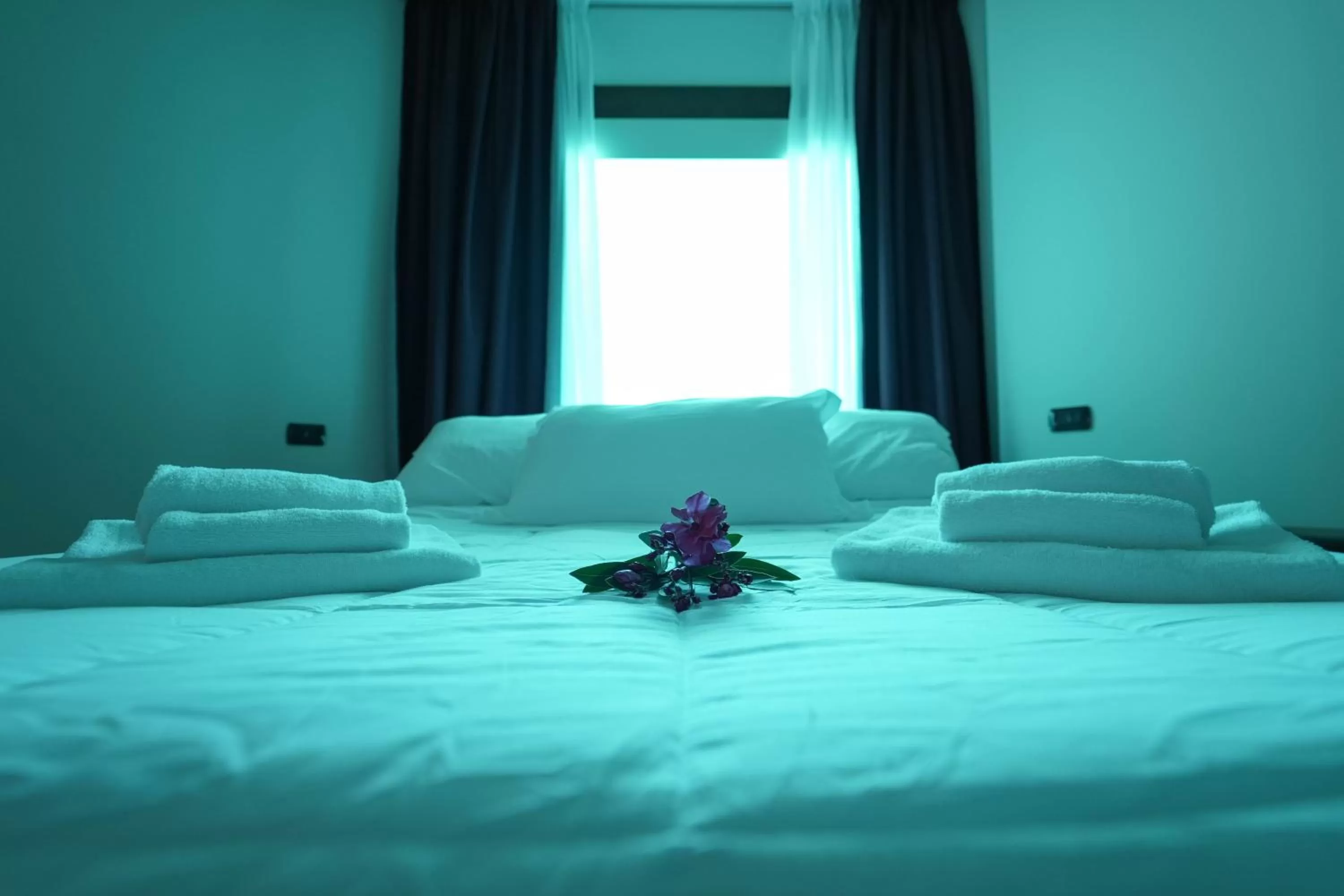 Bed in paradise suite