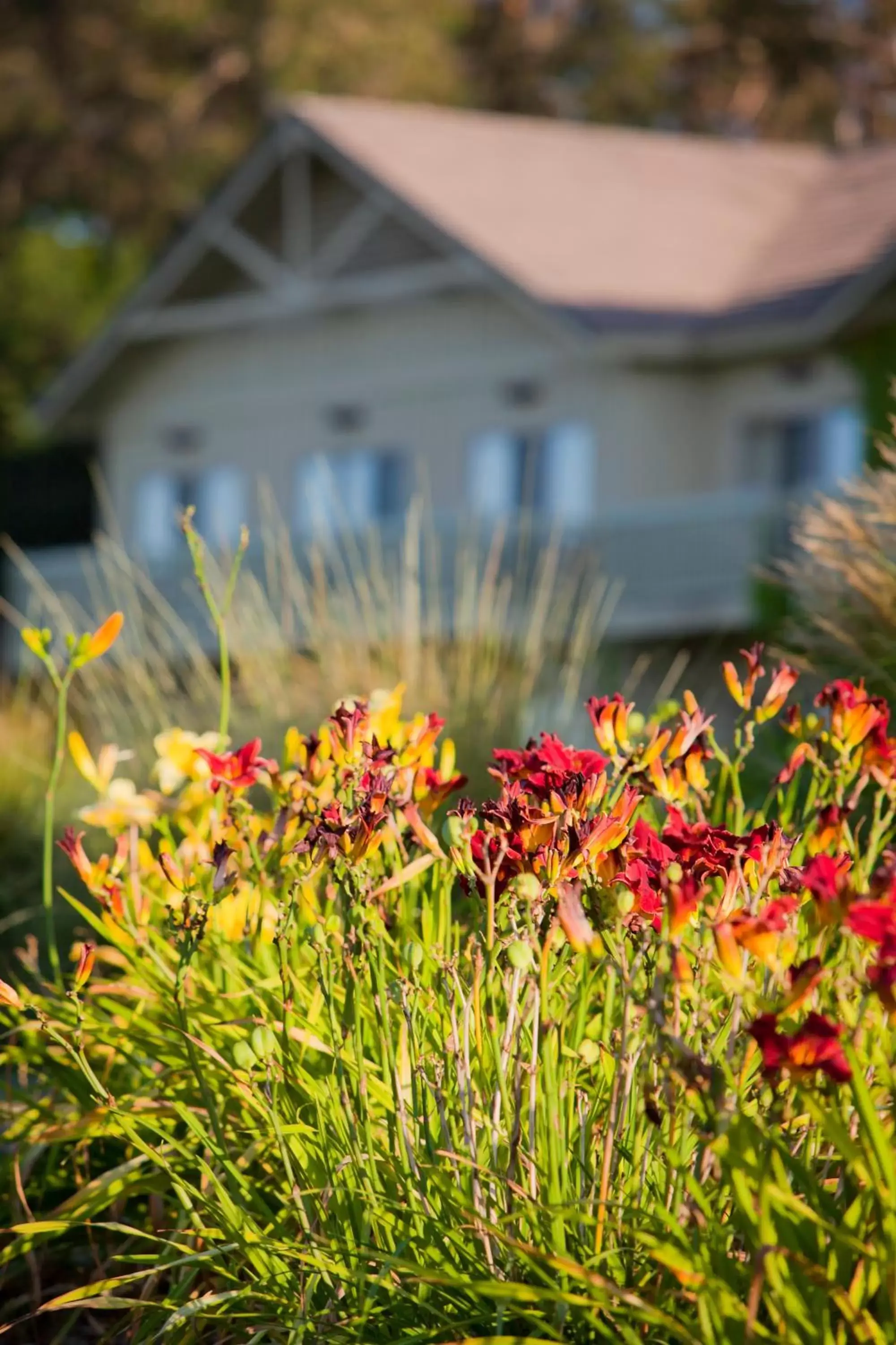 Property Building in Temecula Creek Inn