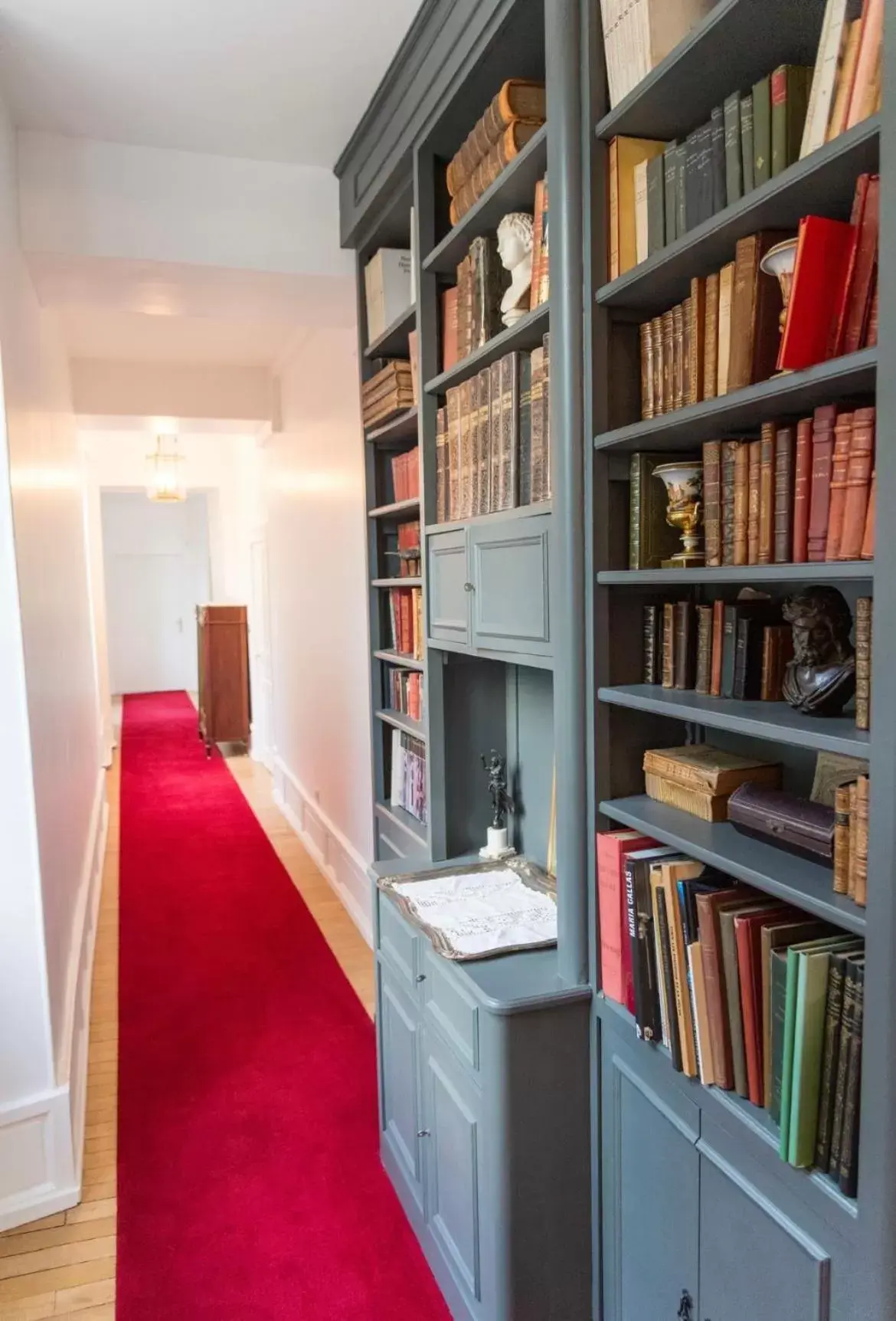 Library in Château du Rondon