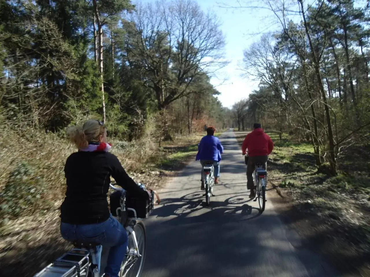 People, Biking in Bed & Breakfast "Aan de Bagijnstraat".