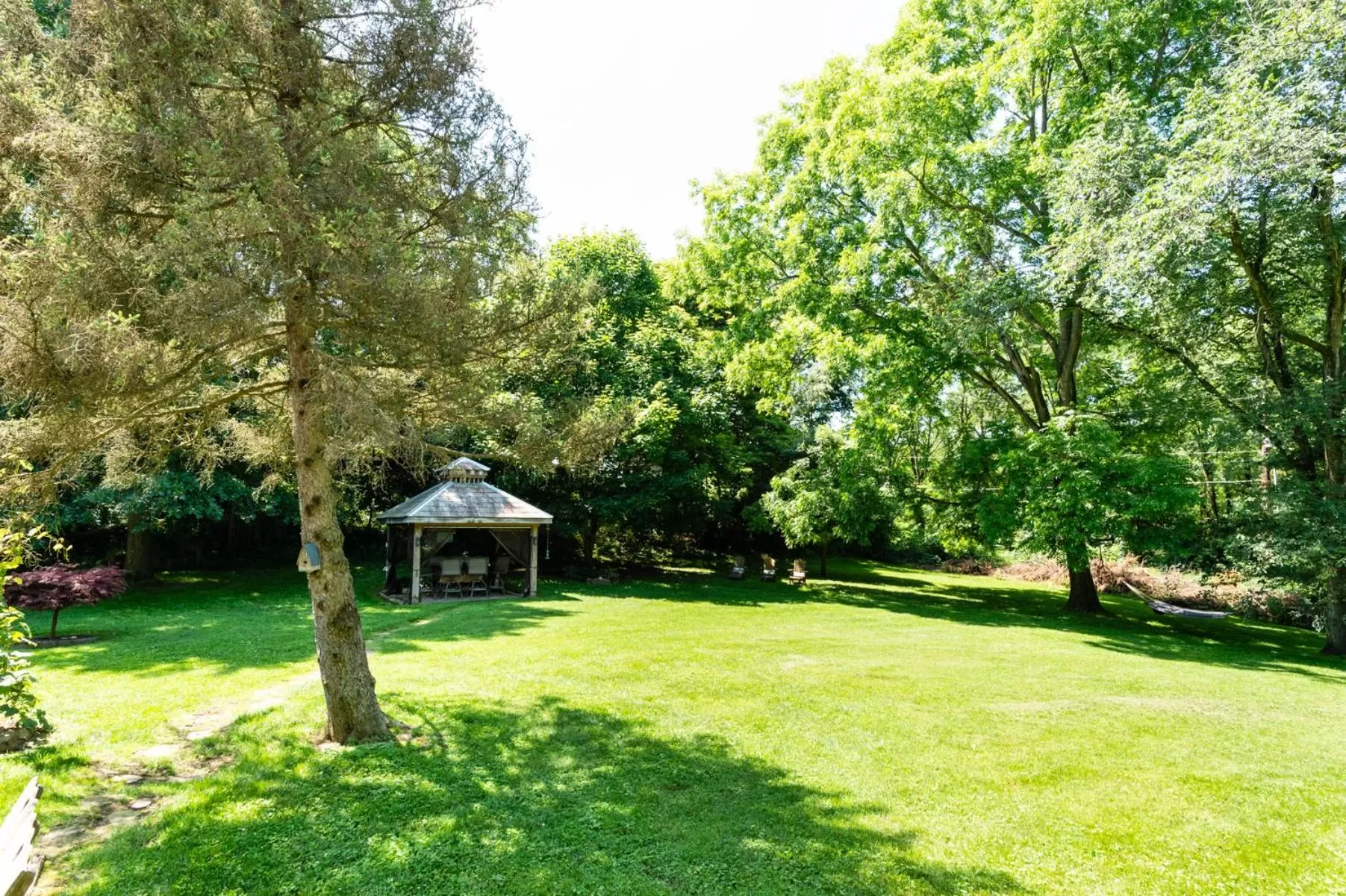 The Pines of Dresden