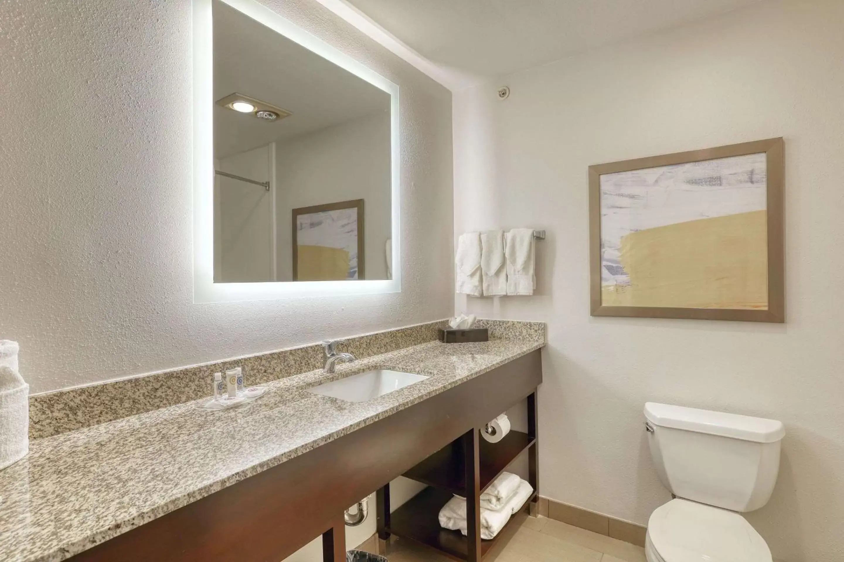 Bedroom, Bathroom in Comfort Suites Milwaukee Airport