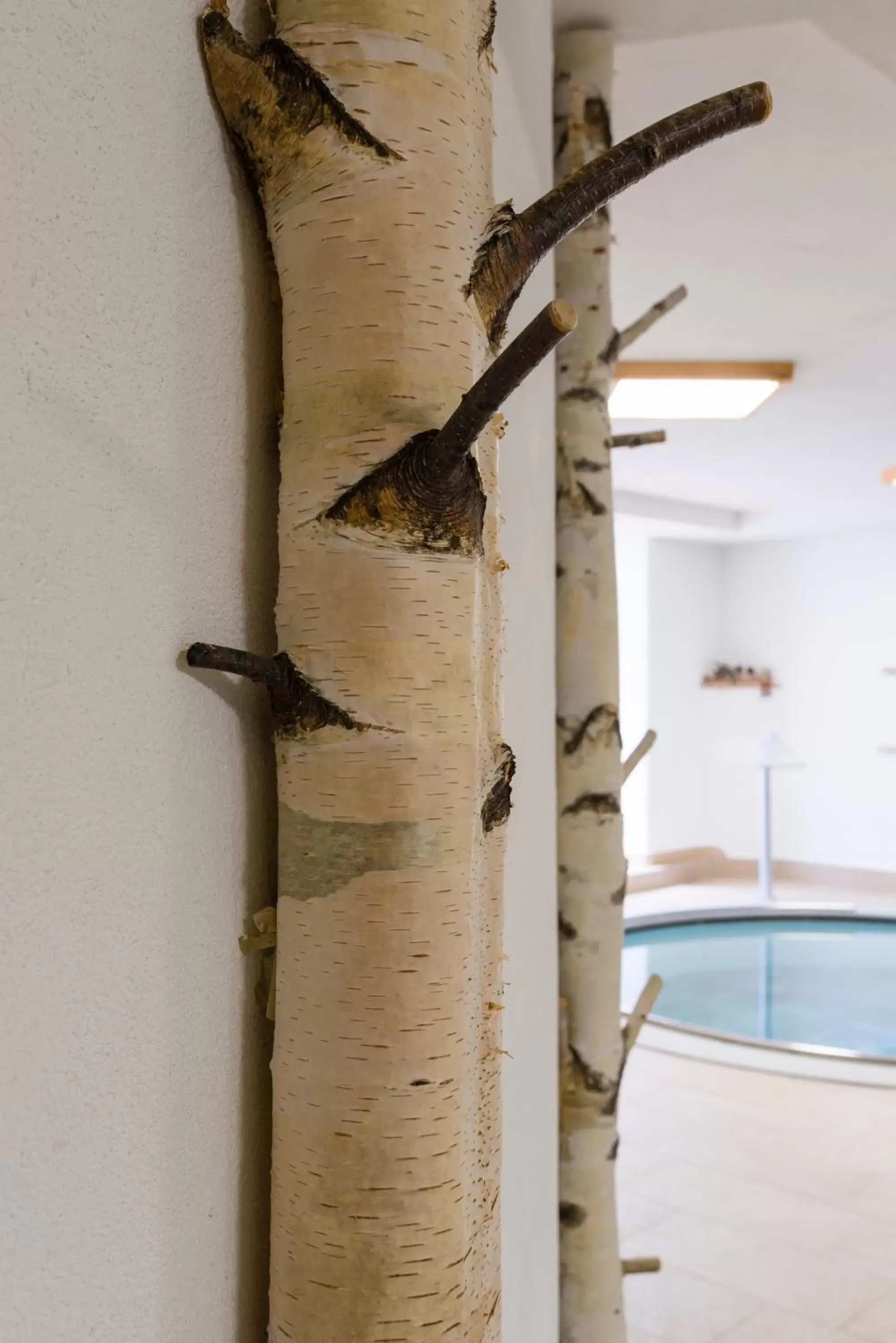 Decorative detail, Swimming Pool in FORESTO - holiday apartments