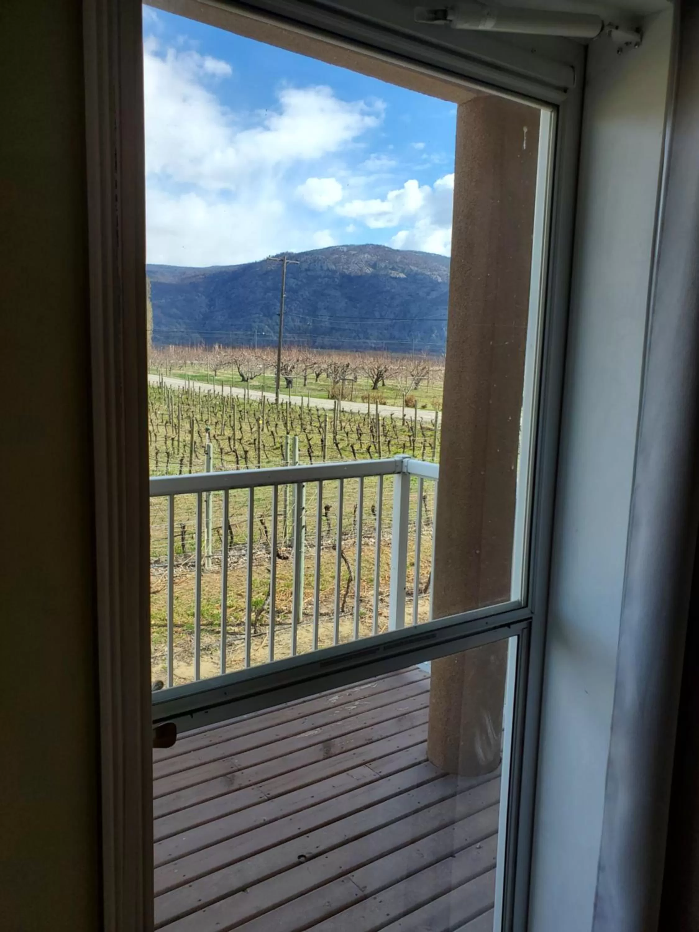 Mountain View in Sonora Desert Inn