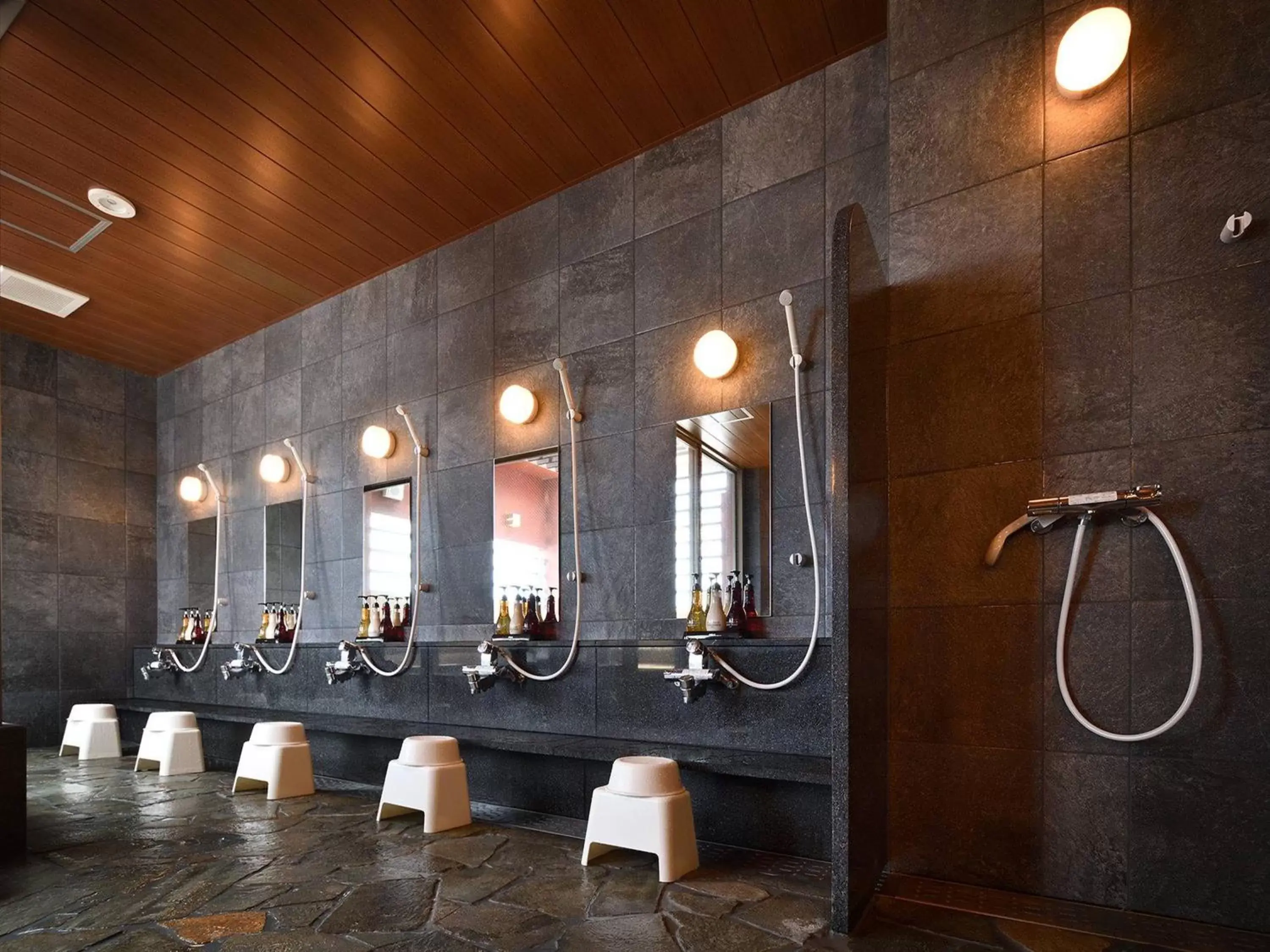 Public Bath, Bathroom in Hotel WBF Grande Hakata
