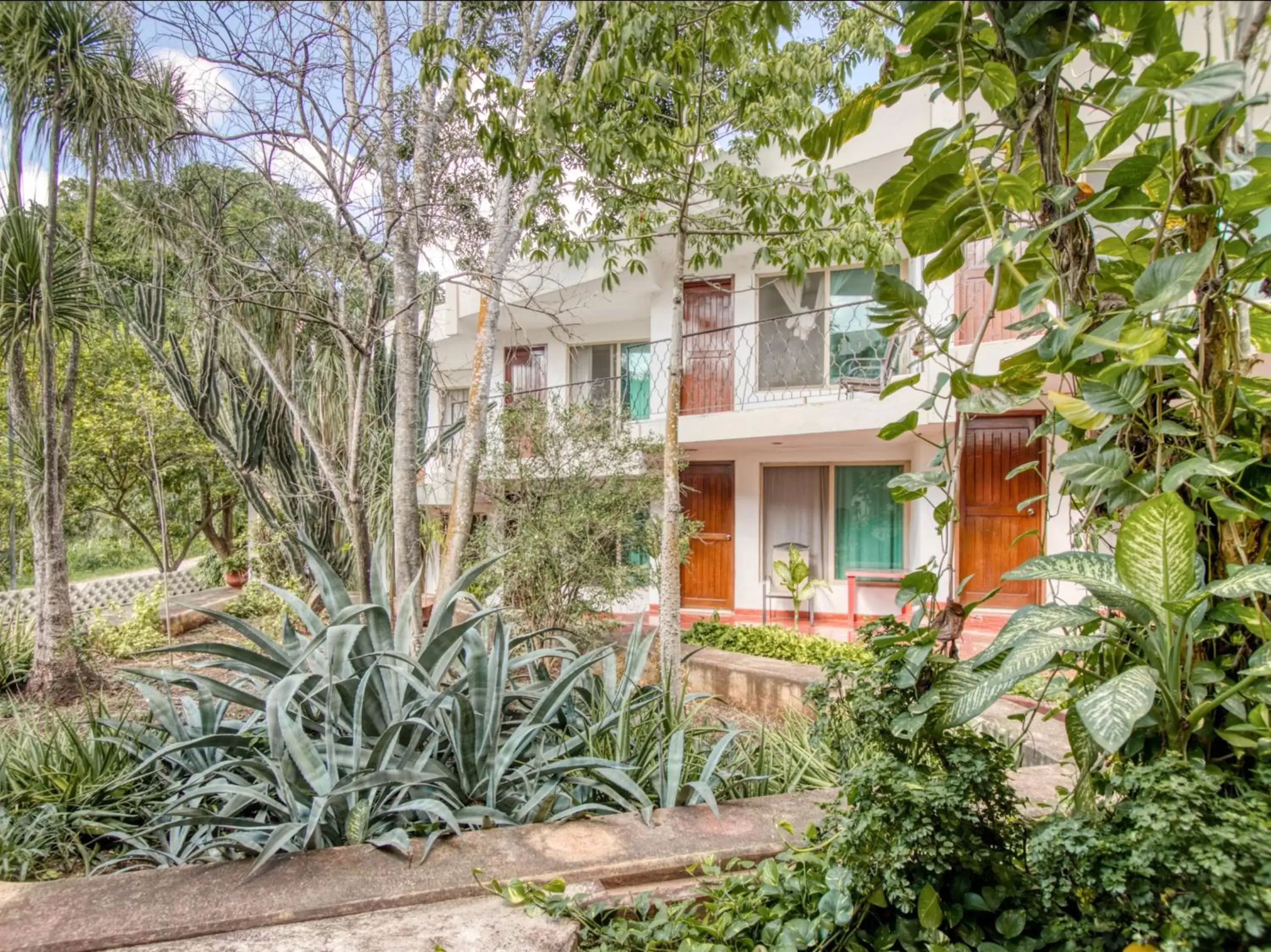 Garden, Property Building in Hotel San Carlos