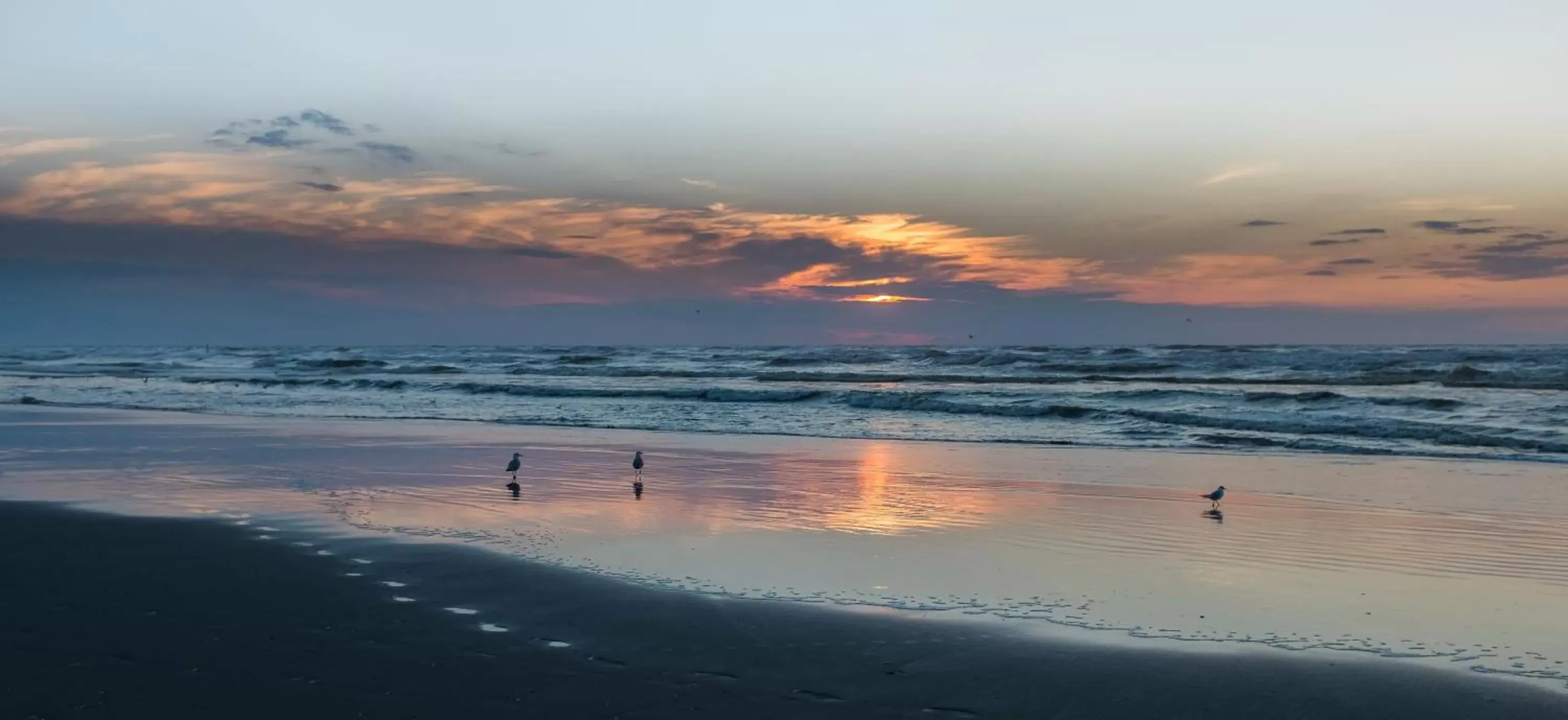 Beach in Hotel Prado