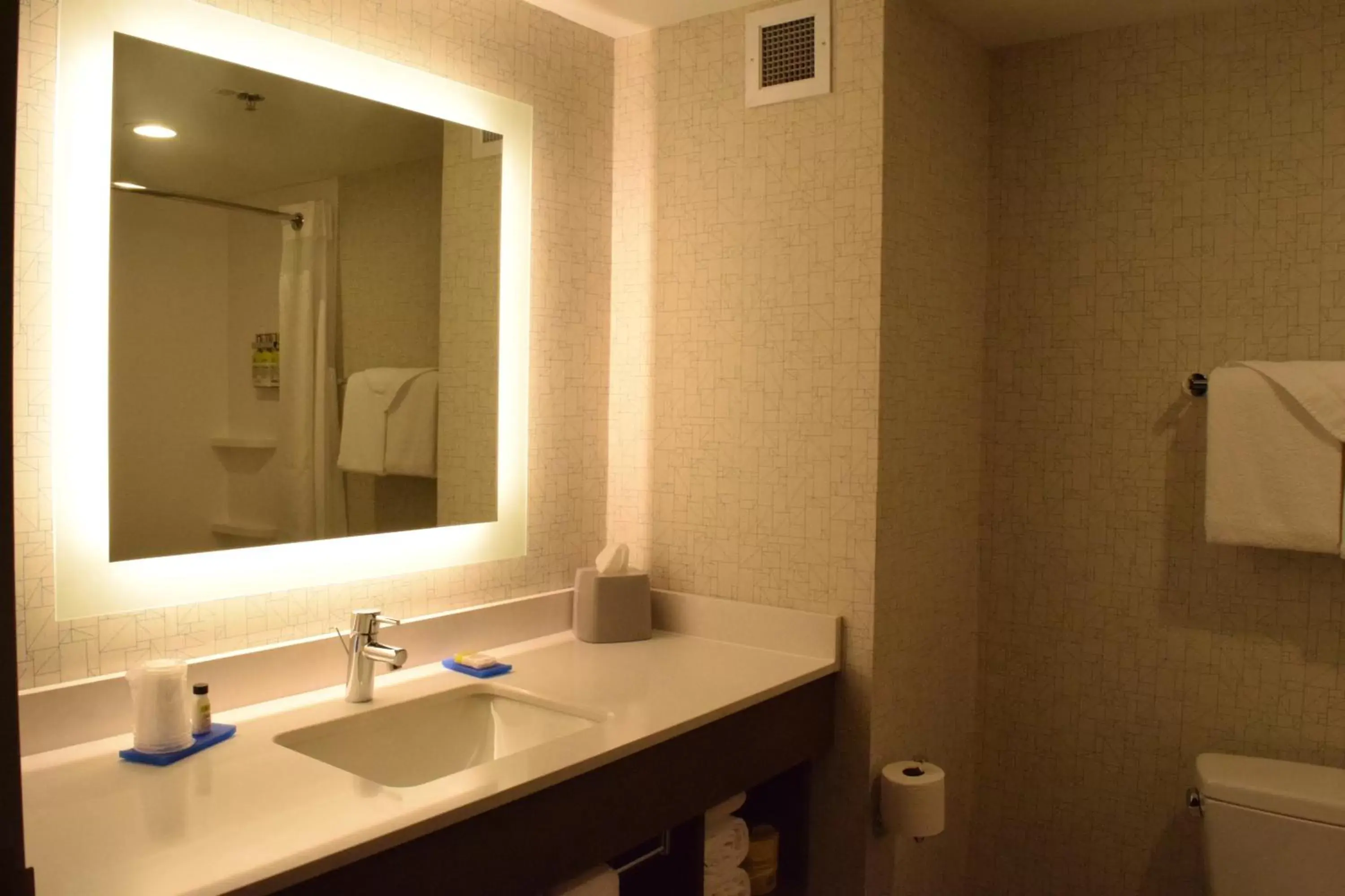 Bathroom in Holiday Inn Express Hotel & Suites Rochester Webster, an IHG Hotel