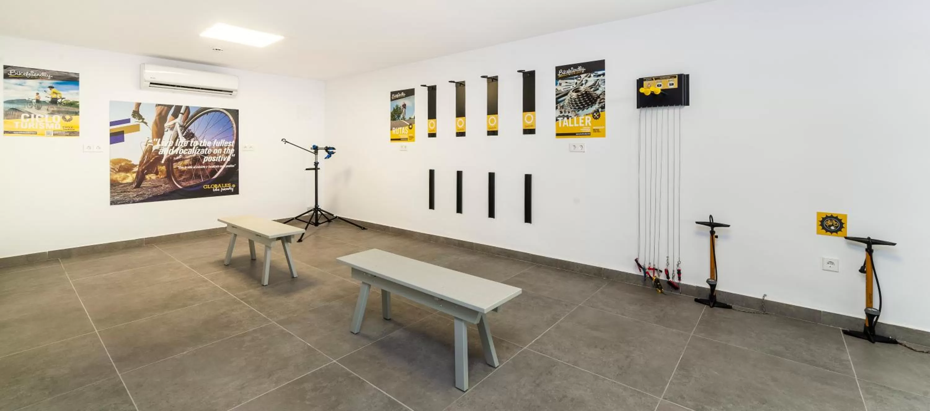 Cycling in Globales Mimosa