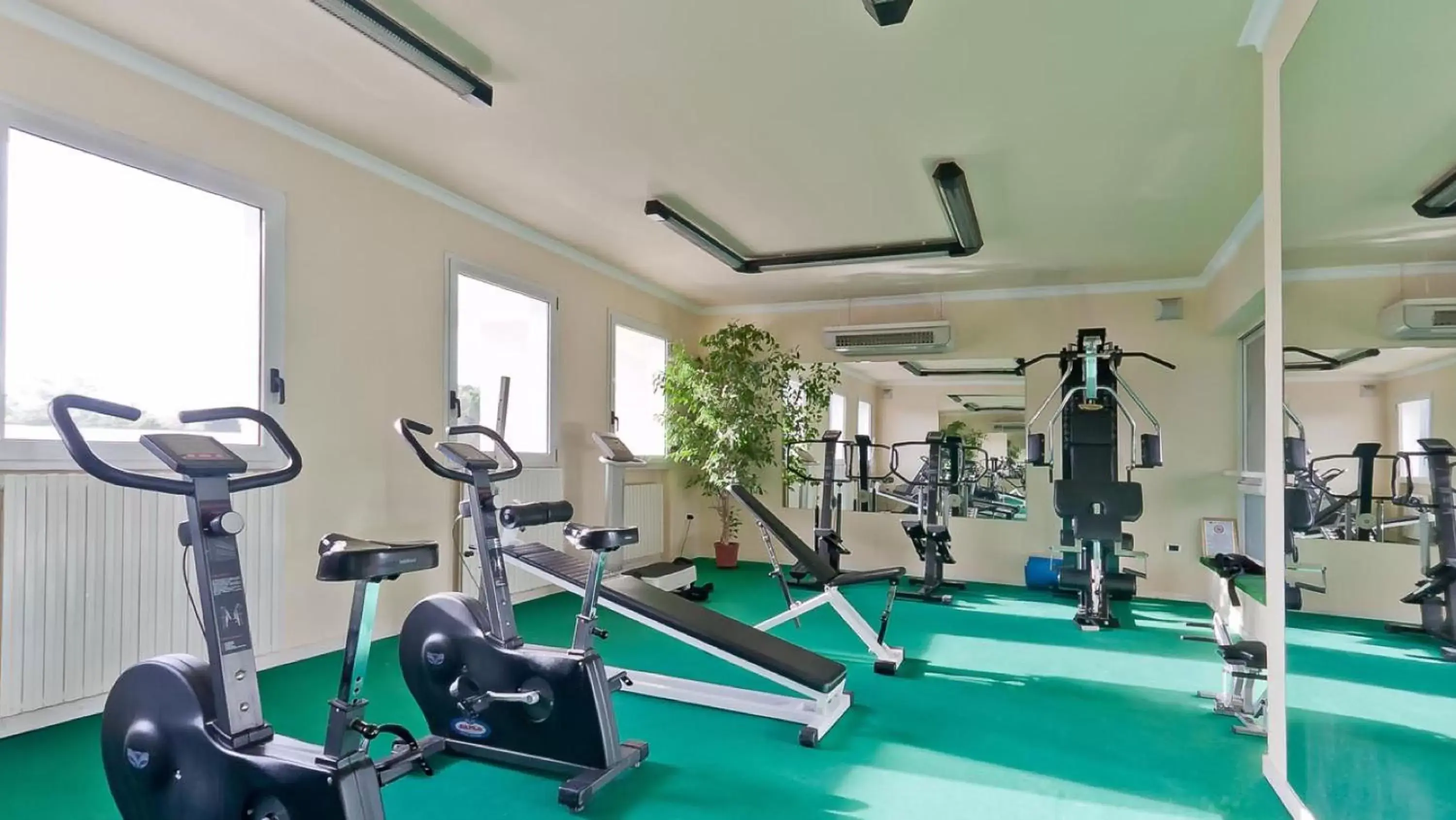 Activities, Fitness Center/Facilities in Hotel Terme Roma