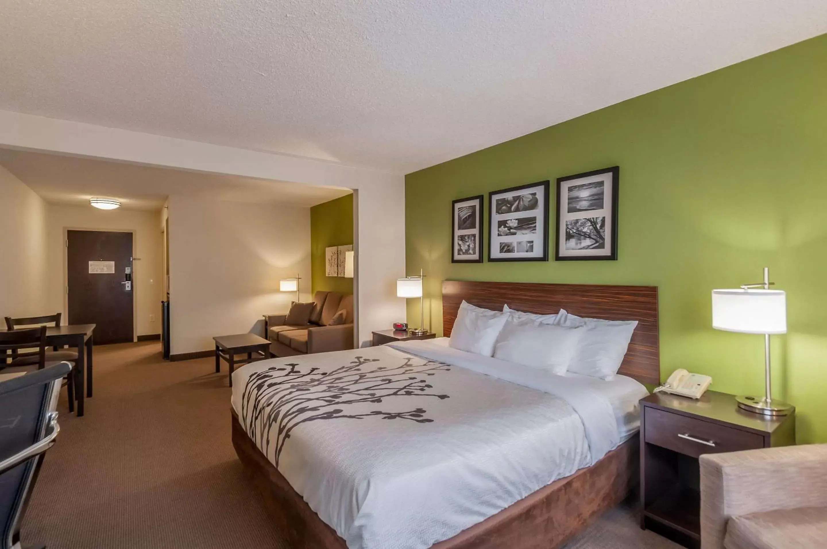 Photo of the whole room, Bed in Sleep Inn & Suites Harrisonburg near University