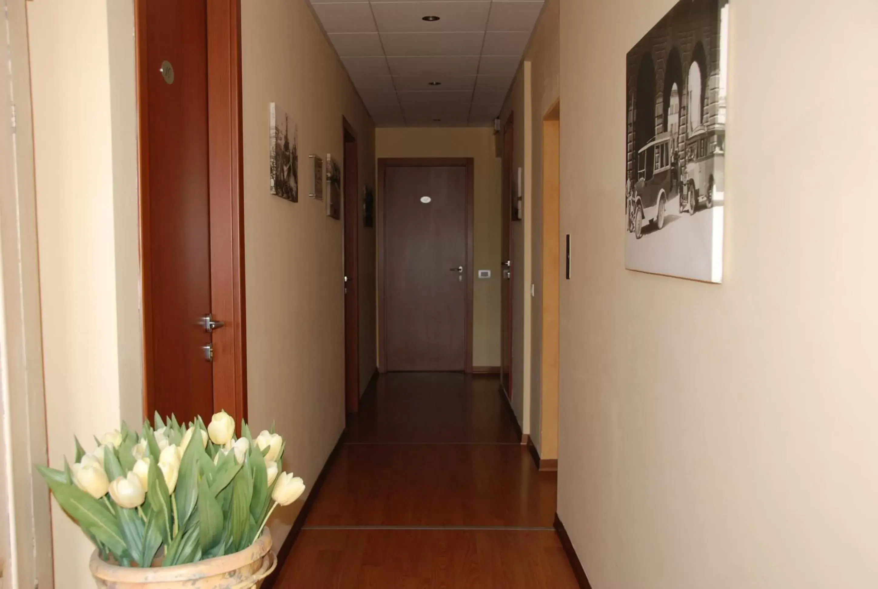 Area and facilities in Hotel Moniga