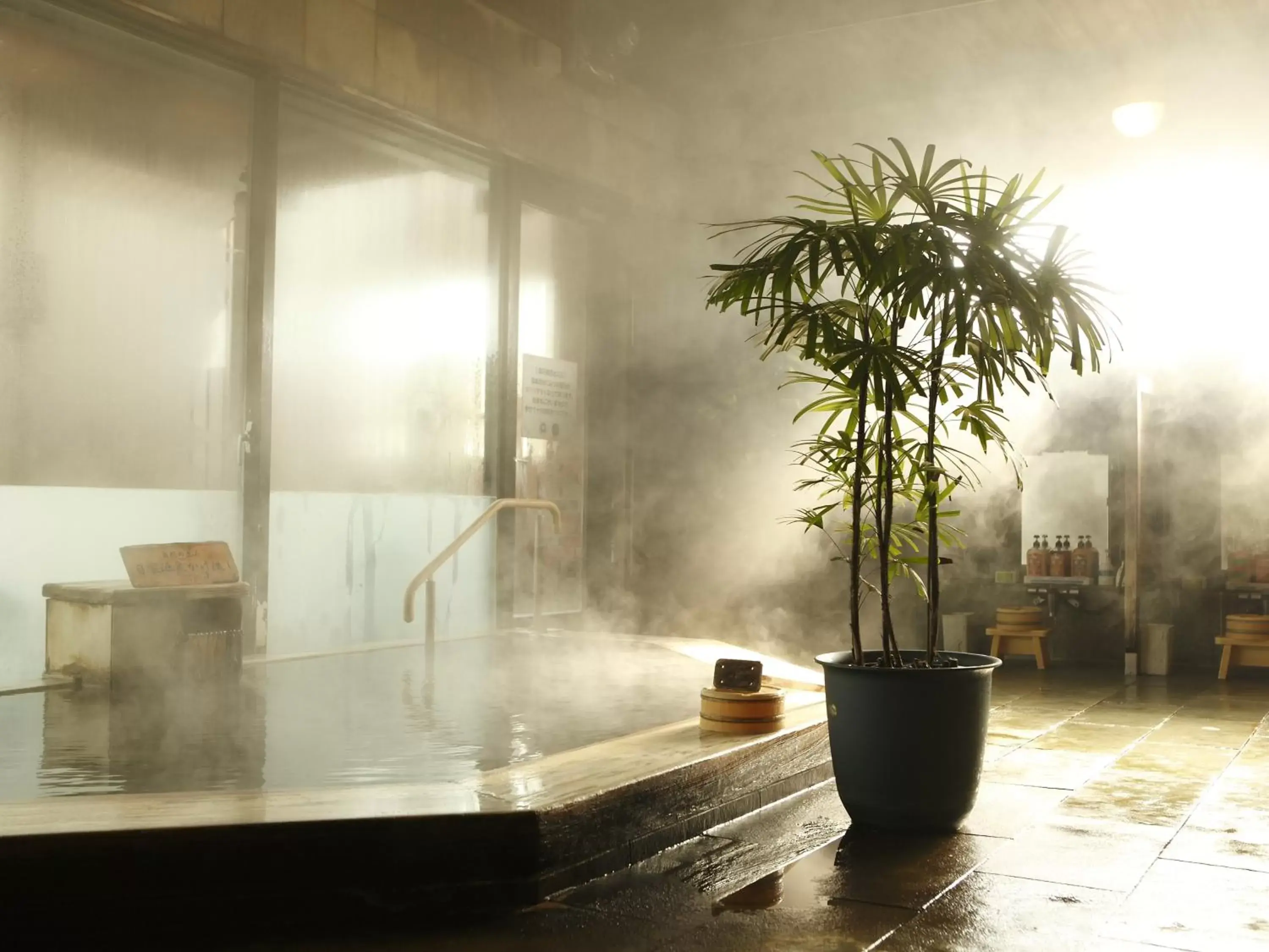 Hot Spring Bath in Wellness Forest Nasu