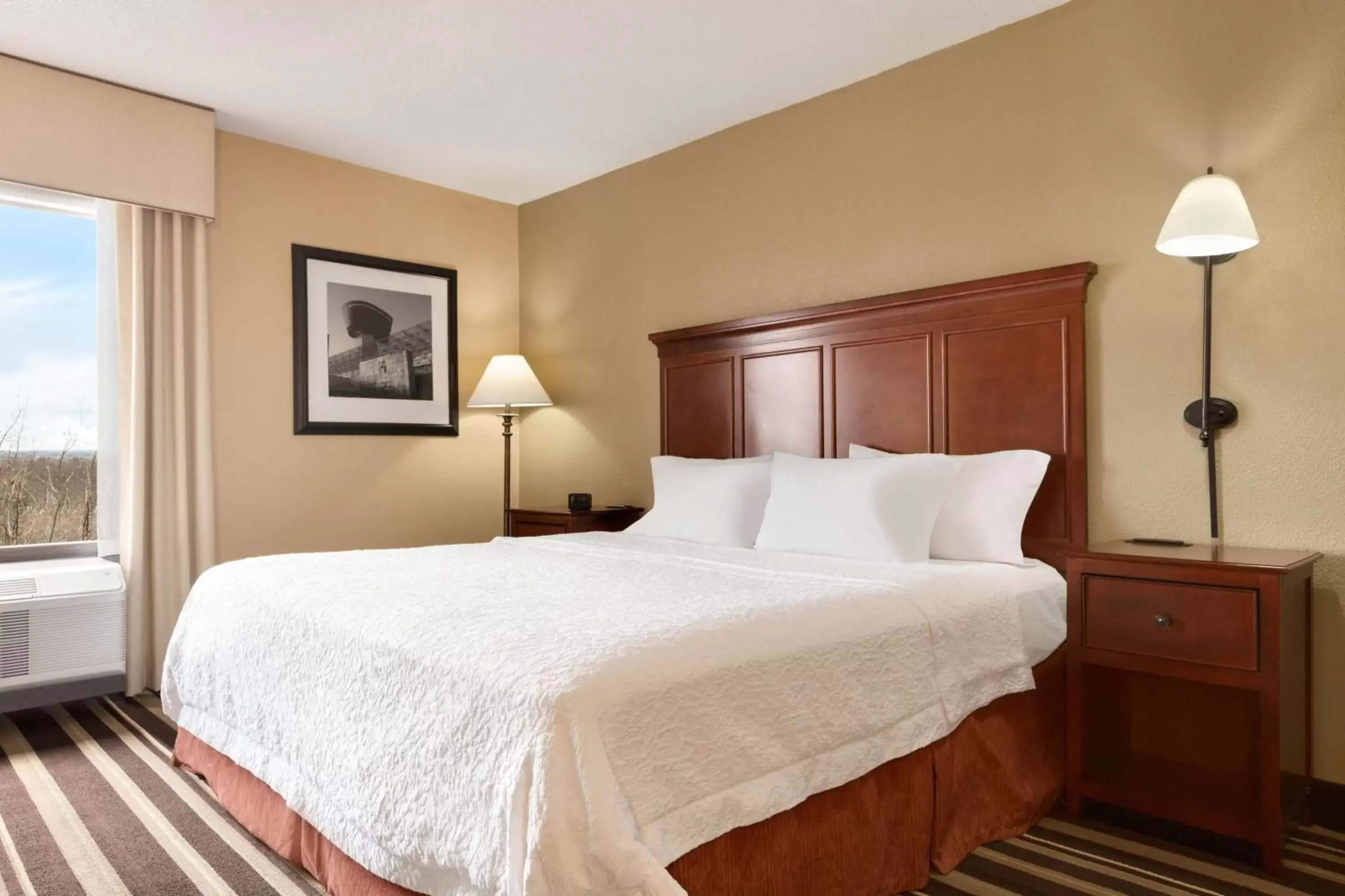 Bed in Hampton Inn Washington-Dulles International Airport South