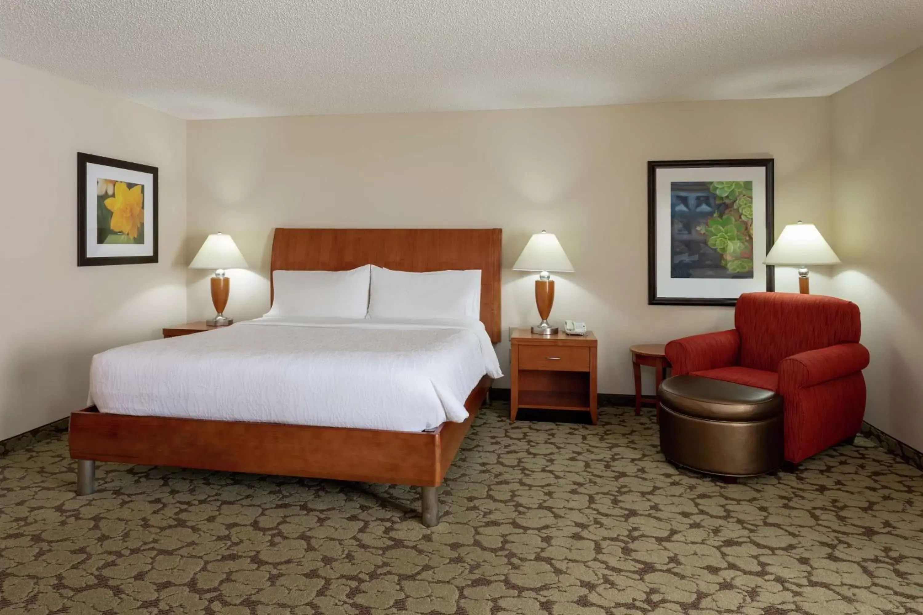 Living room, Bed in Hilton Garden Inn St. Paul Oakdale