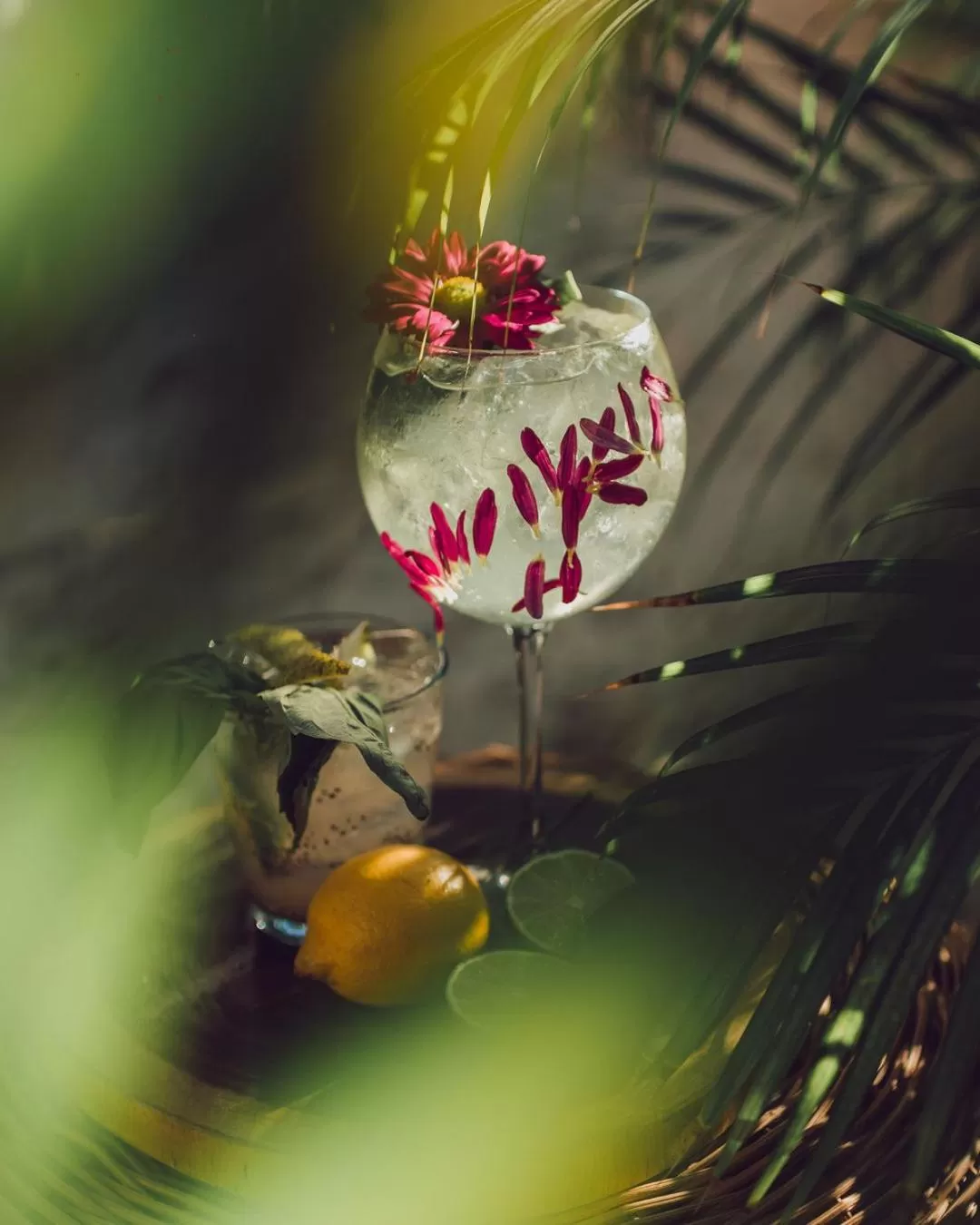 Drinks in Encantada Tulum