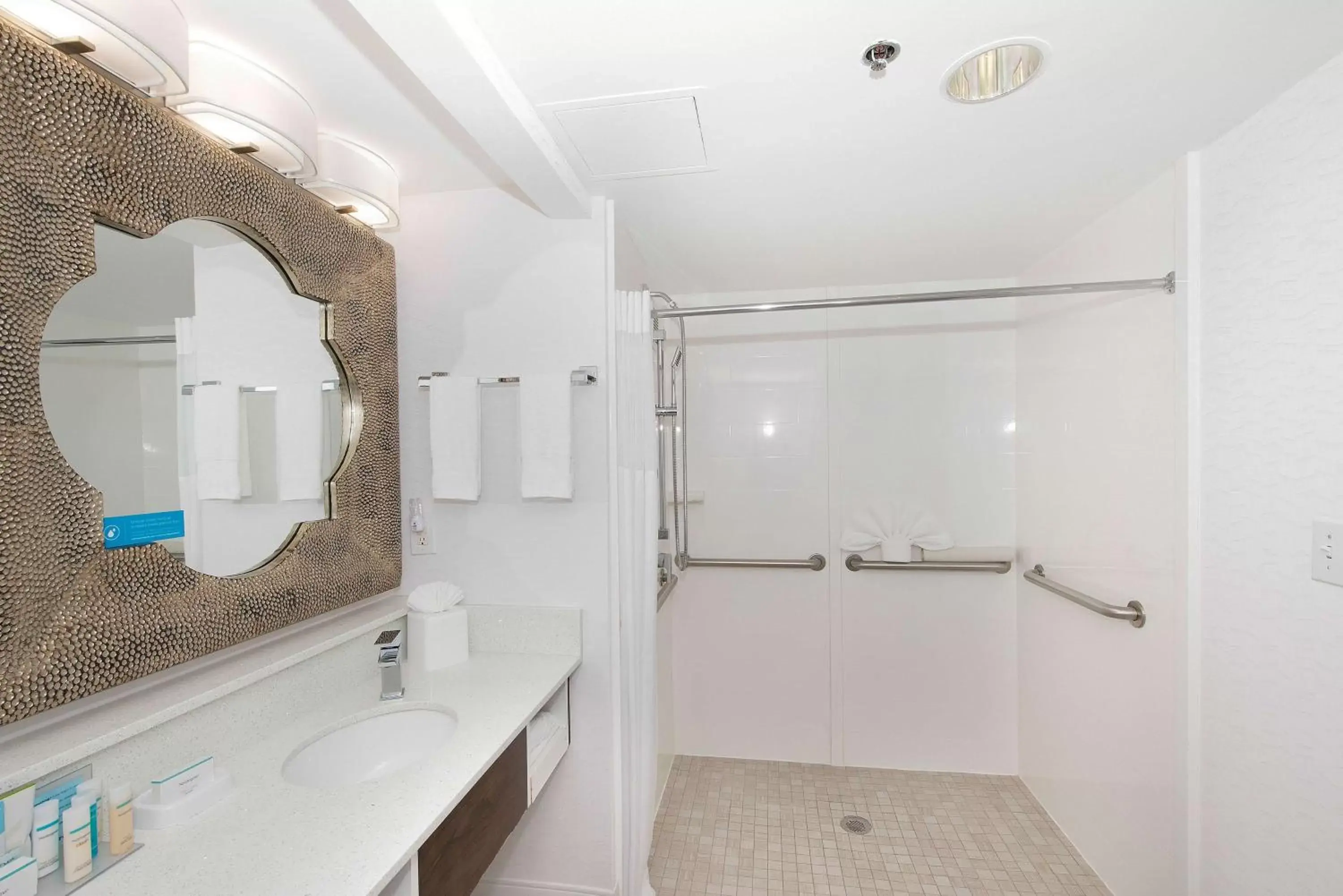 Bathroom in Hampton Inn & Suites Atlanta-Galleria